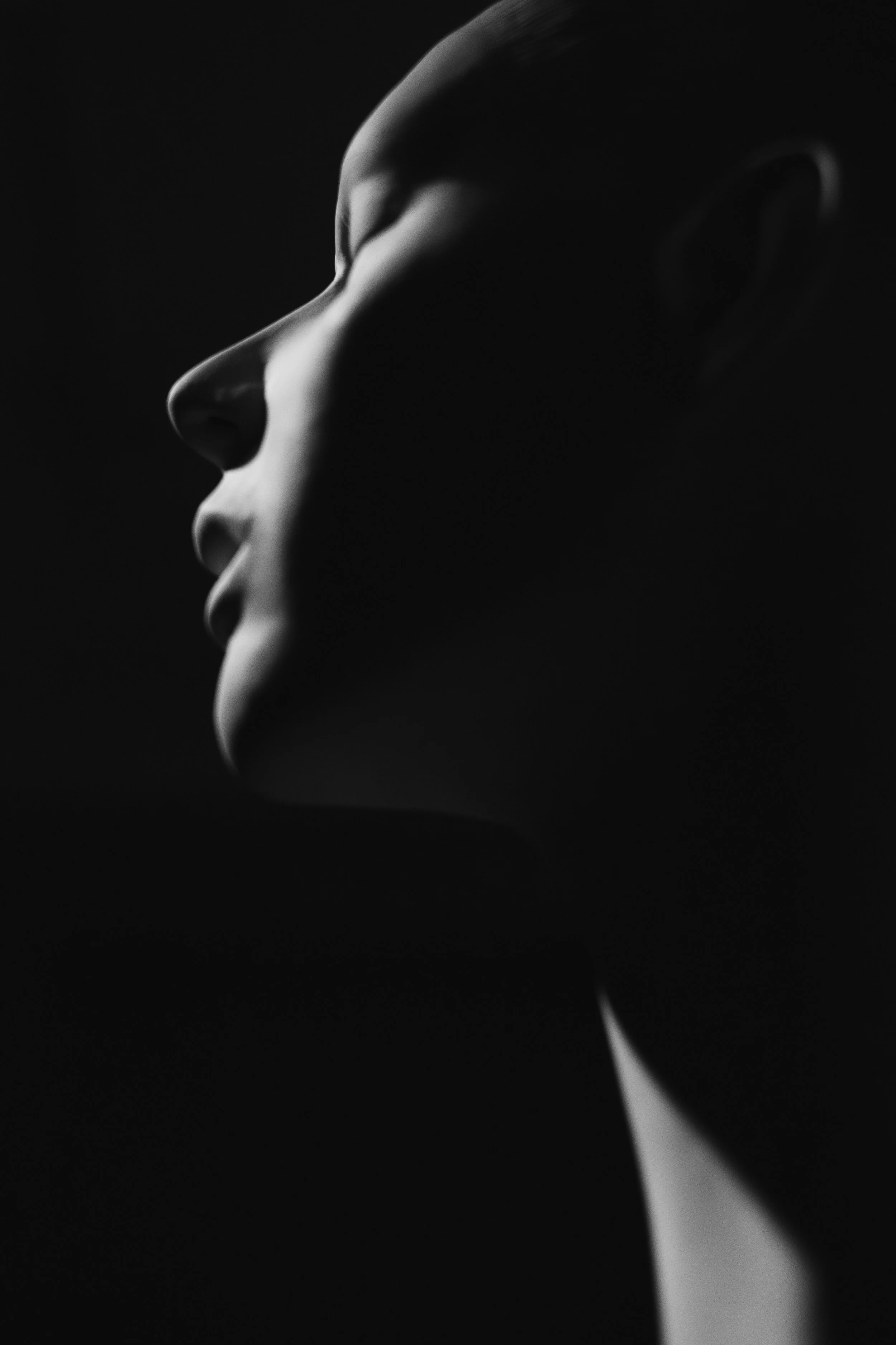 DSCF3003.jpg