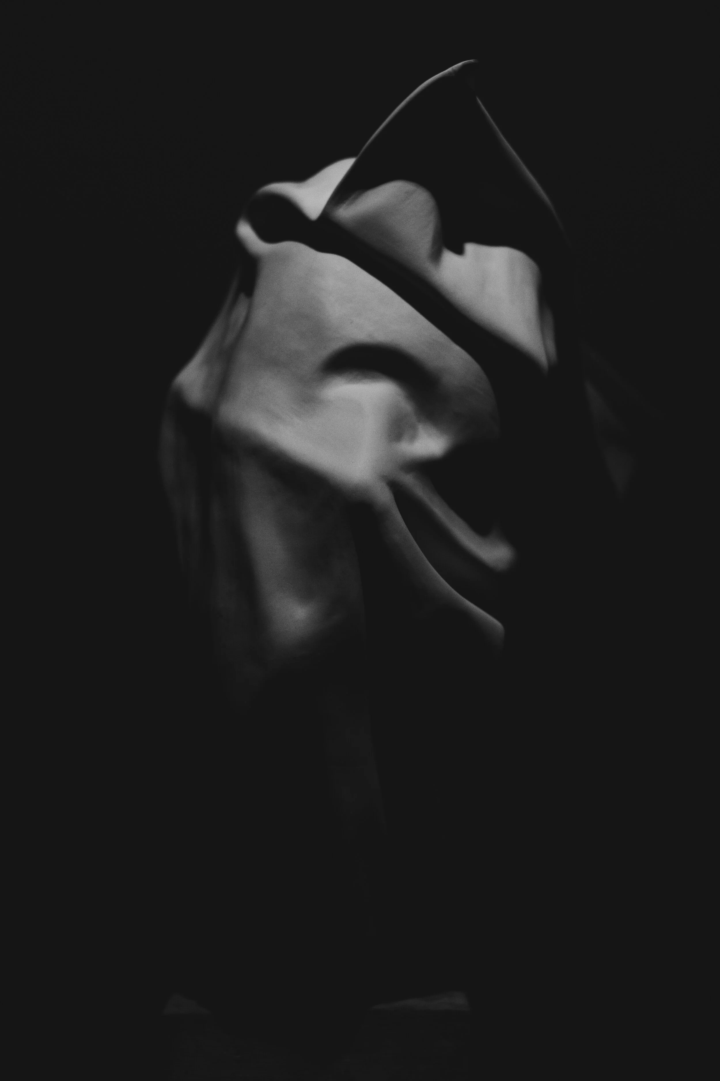 DSCF3123.jpg