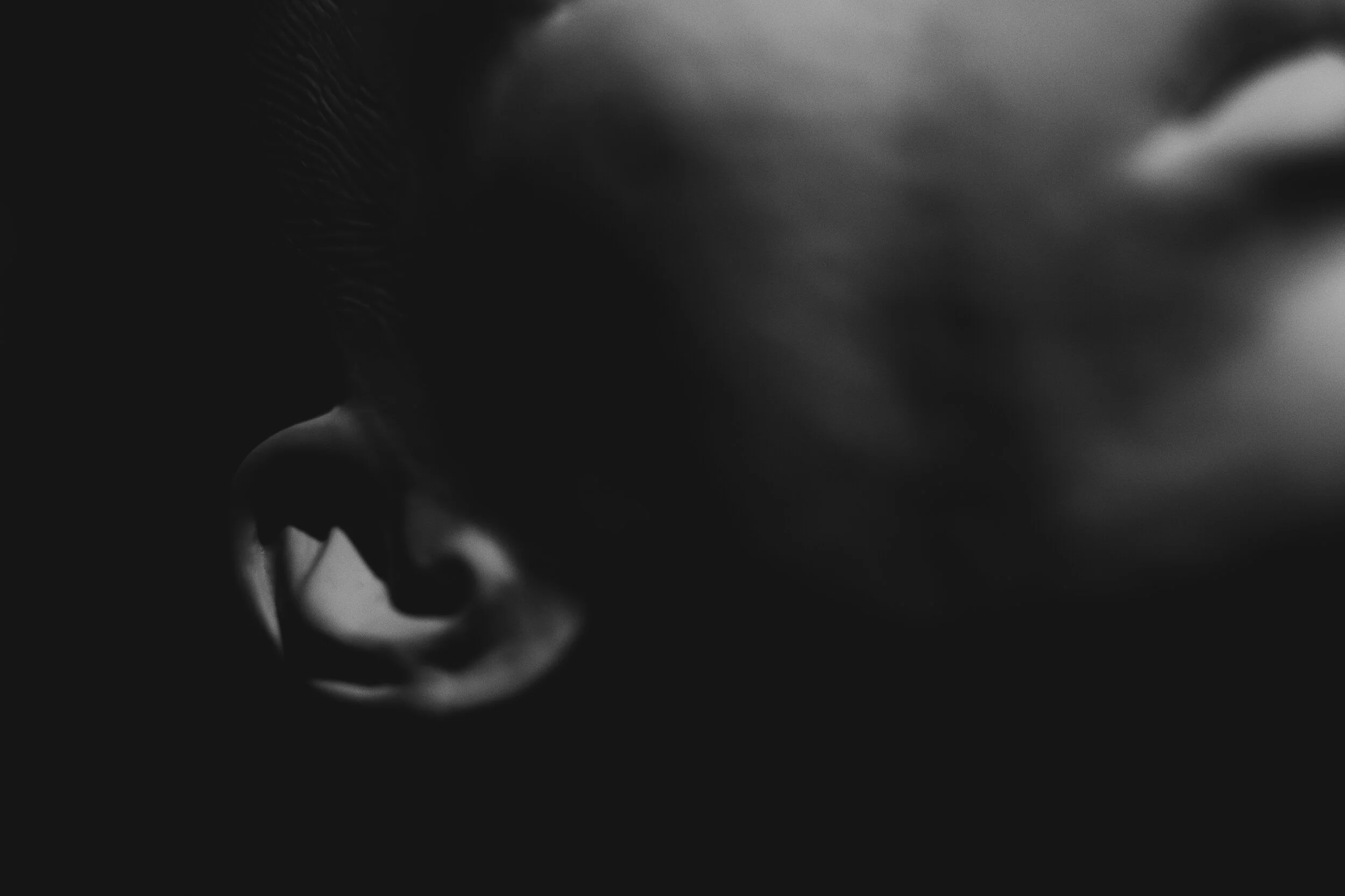 DSCF3132.jpg