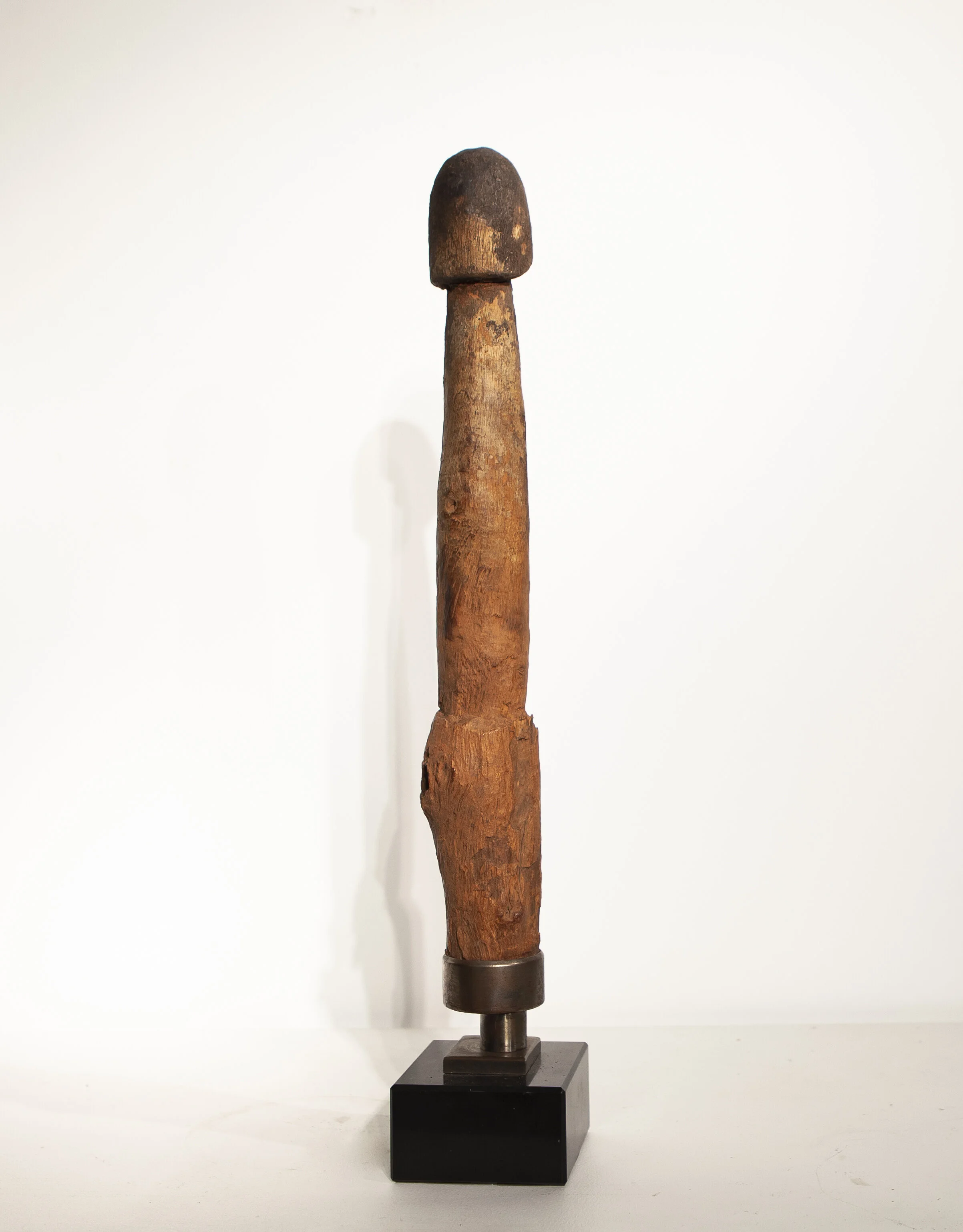 African Phallus Stephane.jpg