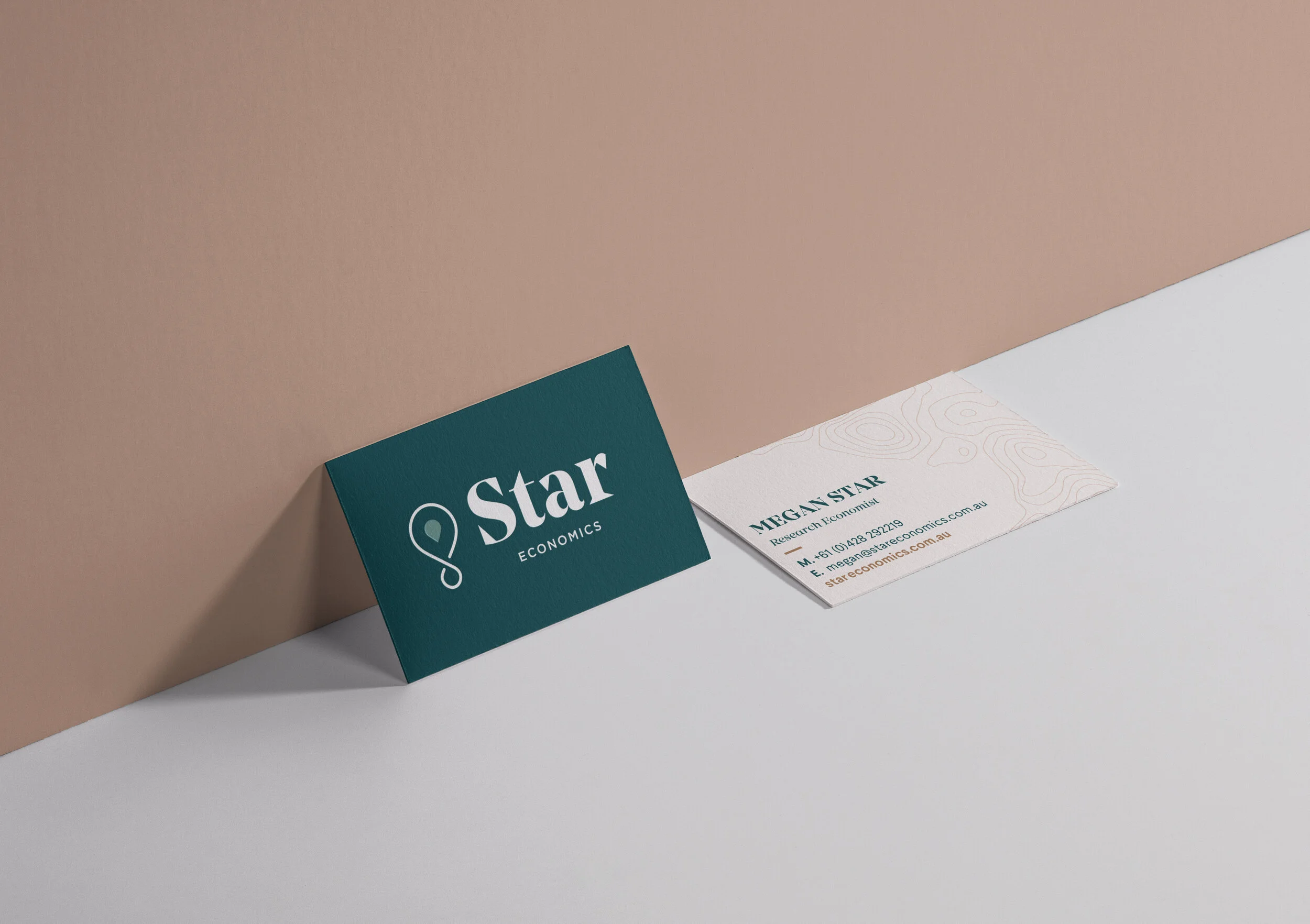 Star-Economics_BCard_.jpg