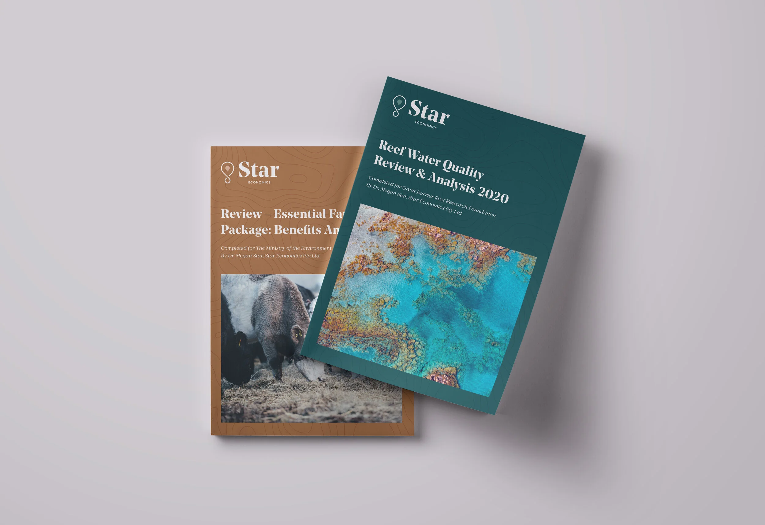 Star-Economics_Covers_FA_MOCK.jpg