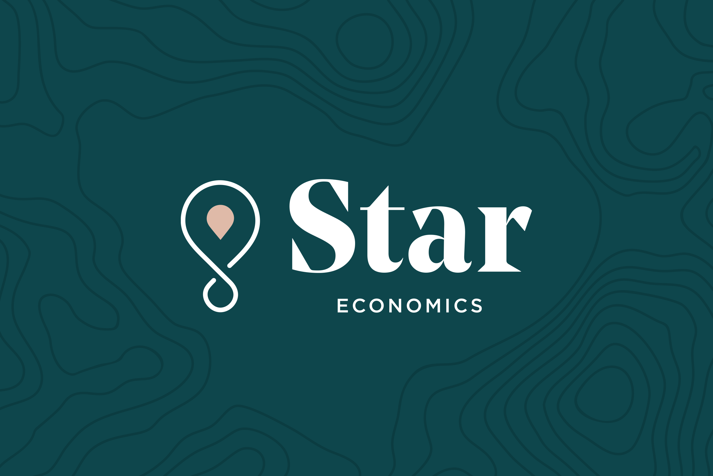StarLogoANIMATED.gif