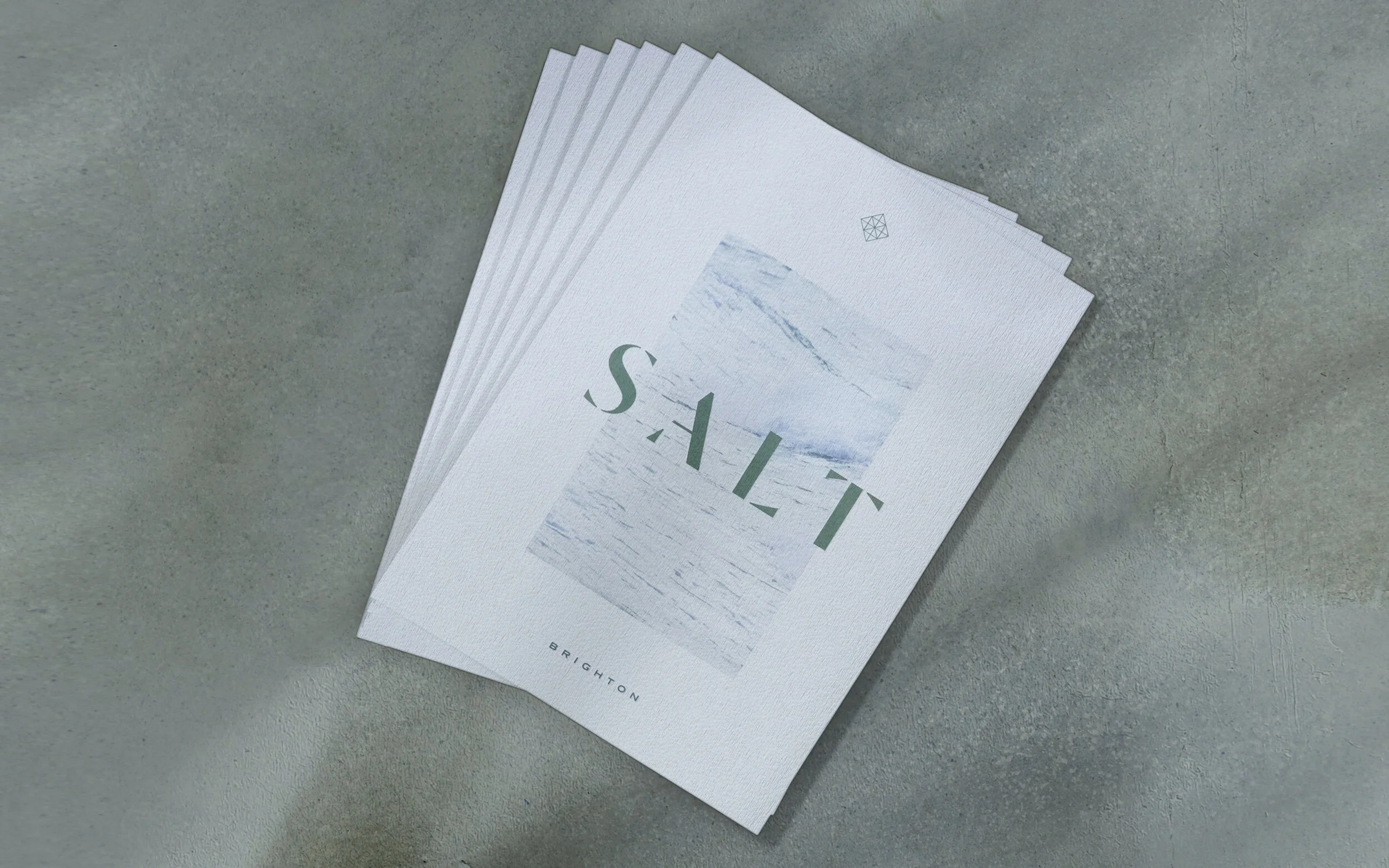 SaltBroCover_.jpg