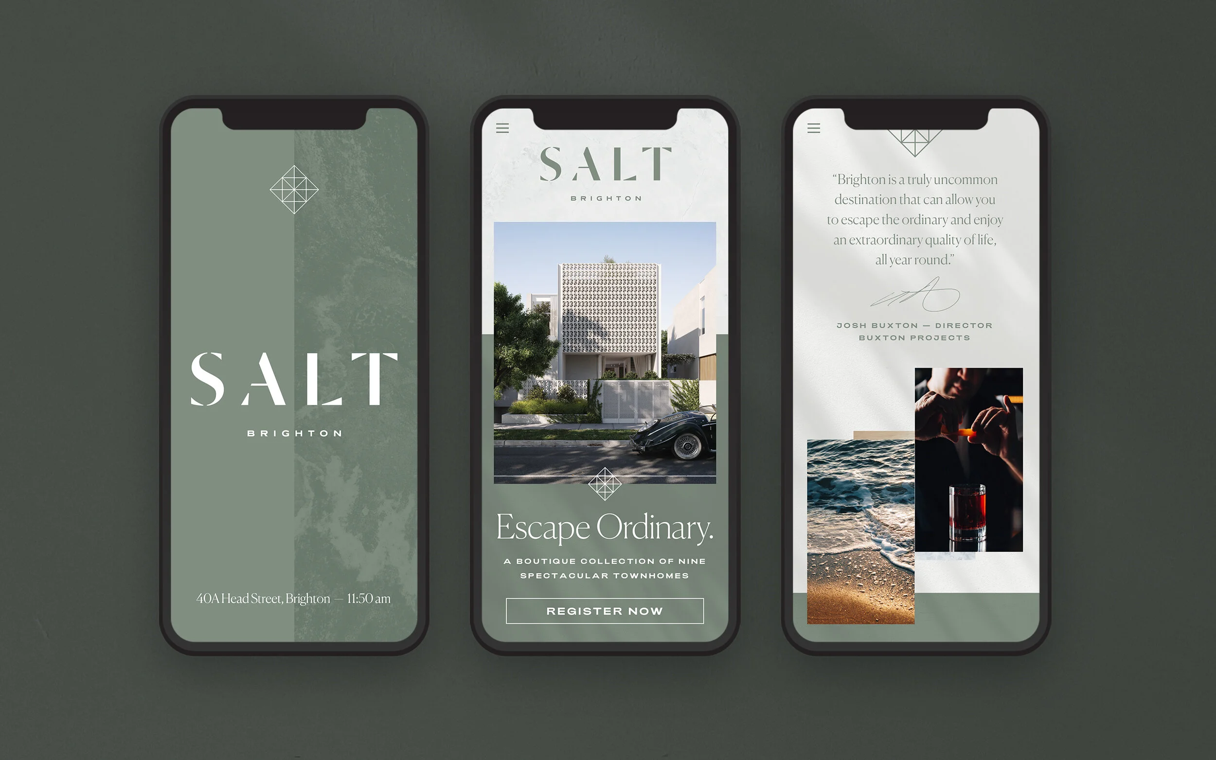SaltMobWebsite.jpg