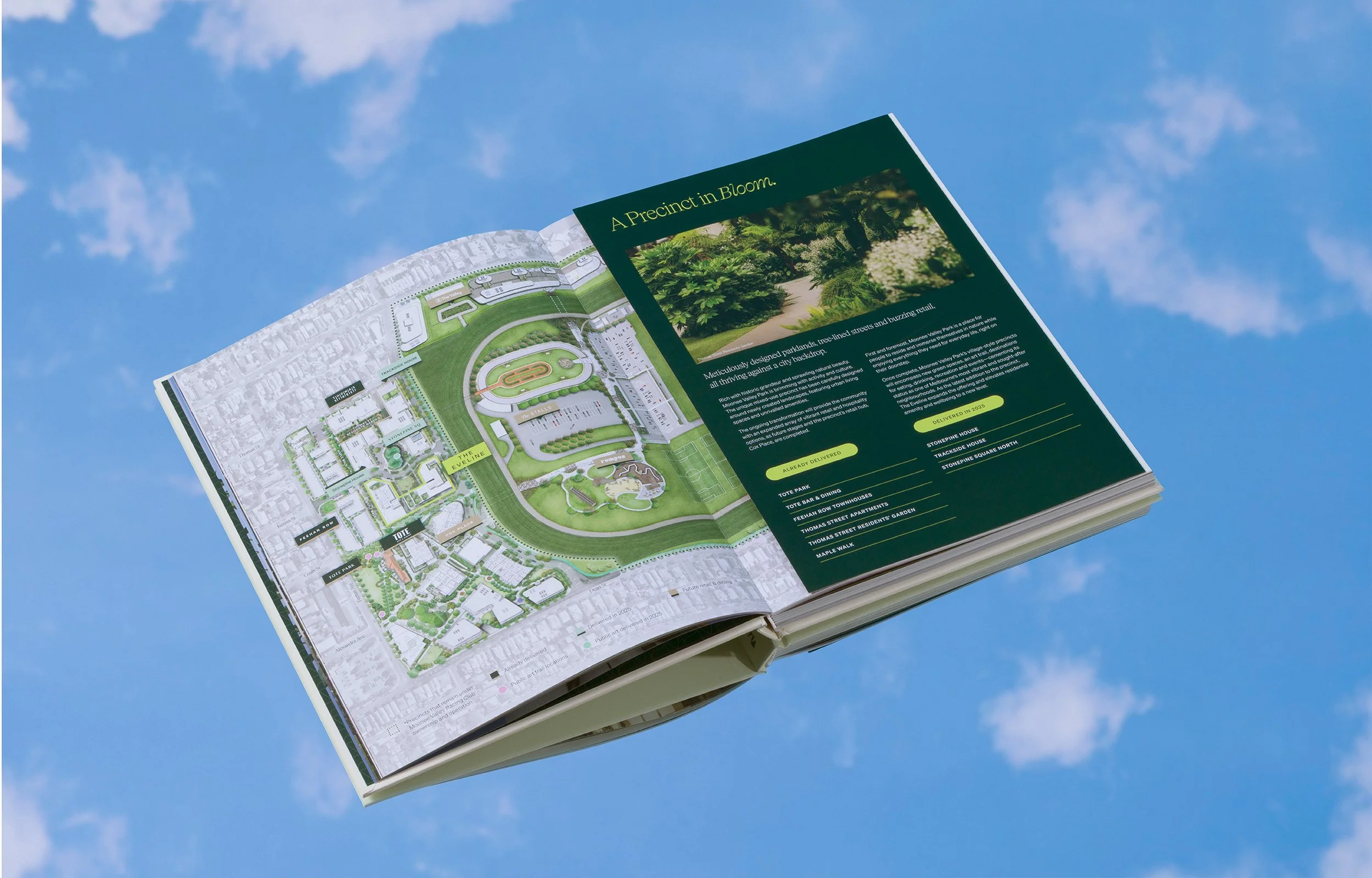 Savi_TheEveline_01_AnimatedBrochure_2500x1600px_3.jpg