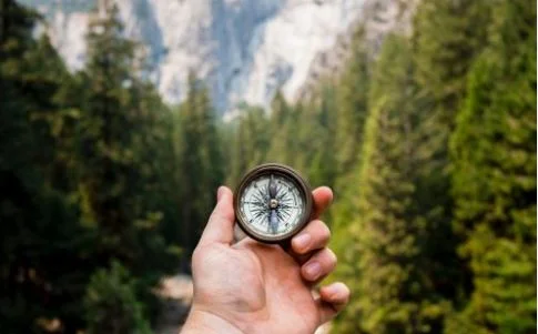 Finding purpose through struggle