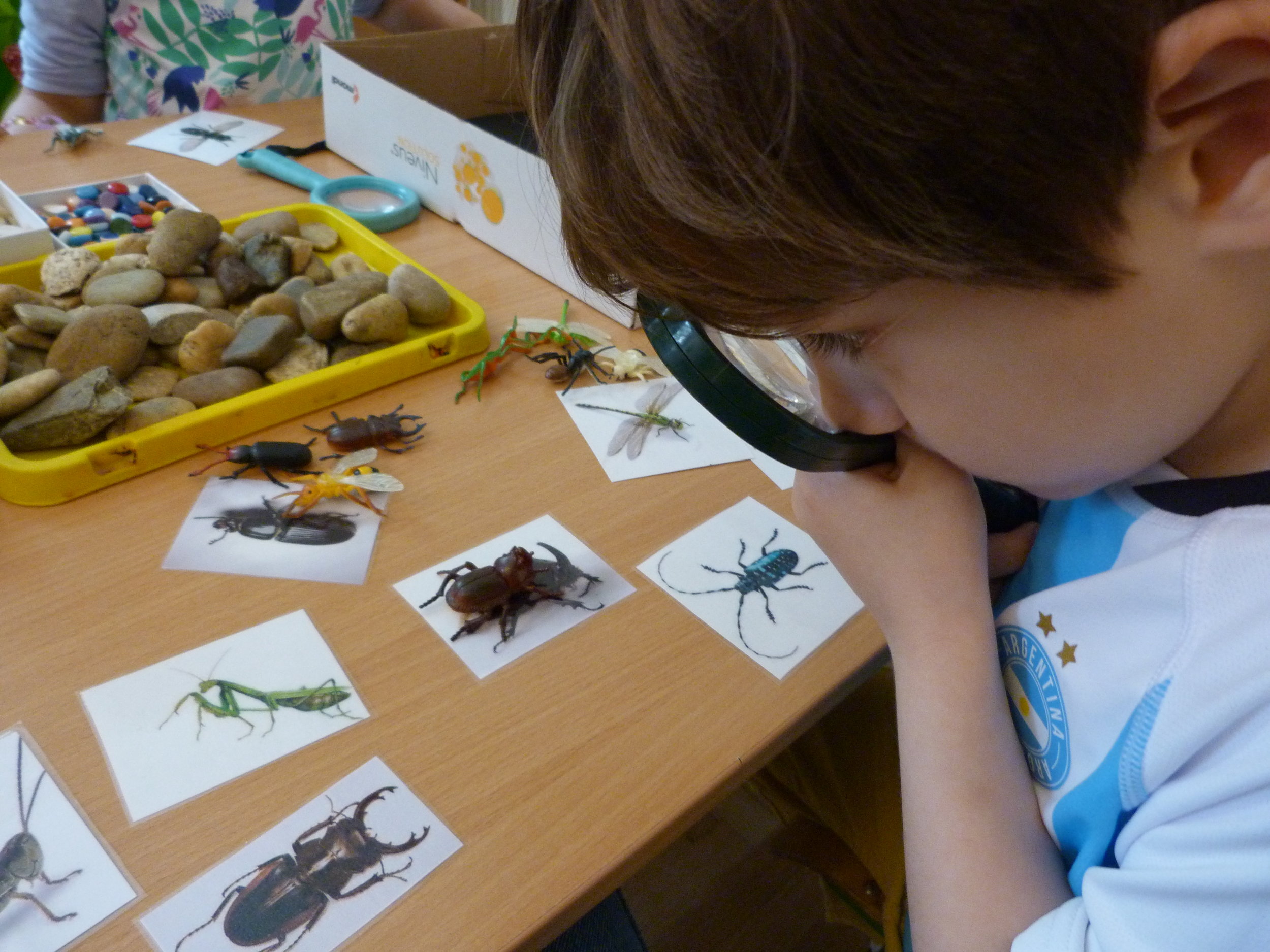 Child Examining Insects with Magnifying Glass