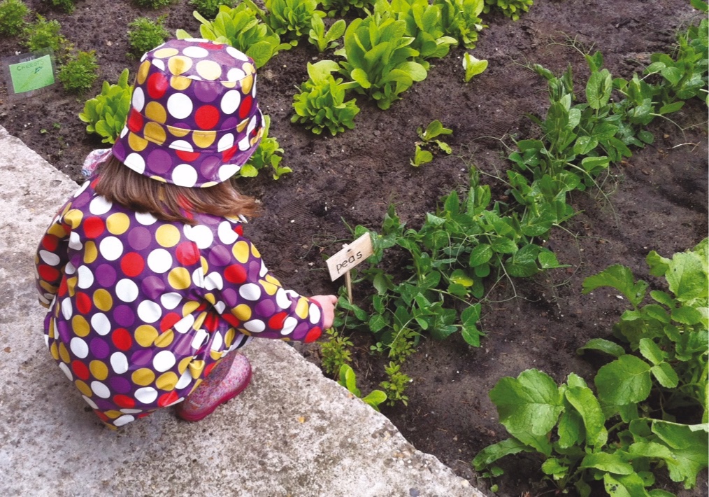 Girl Looking at Vegetables