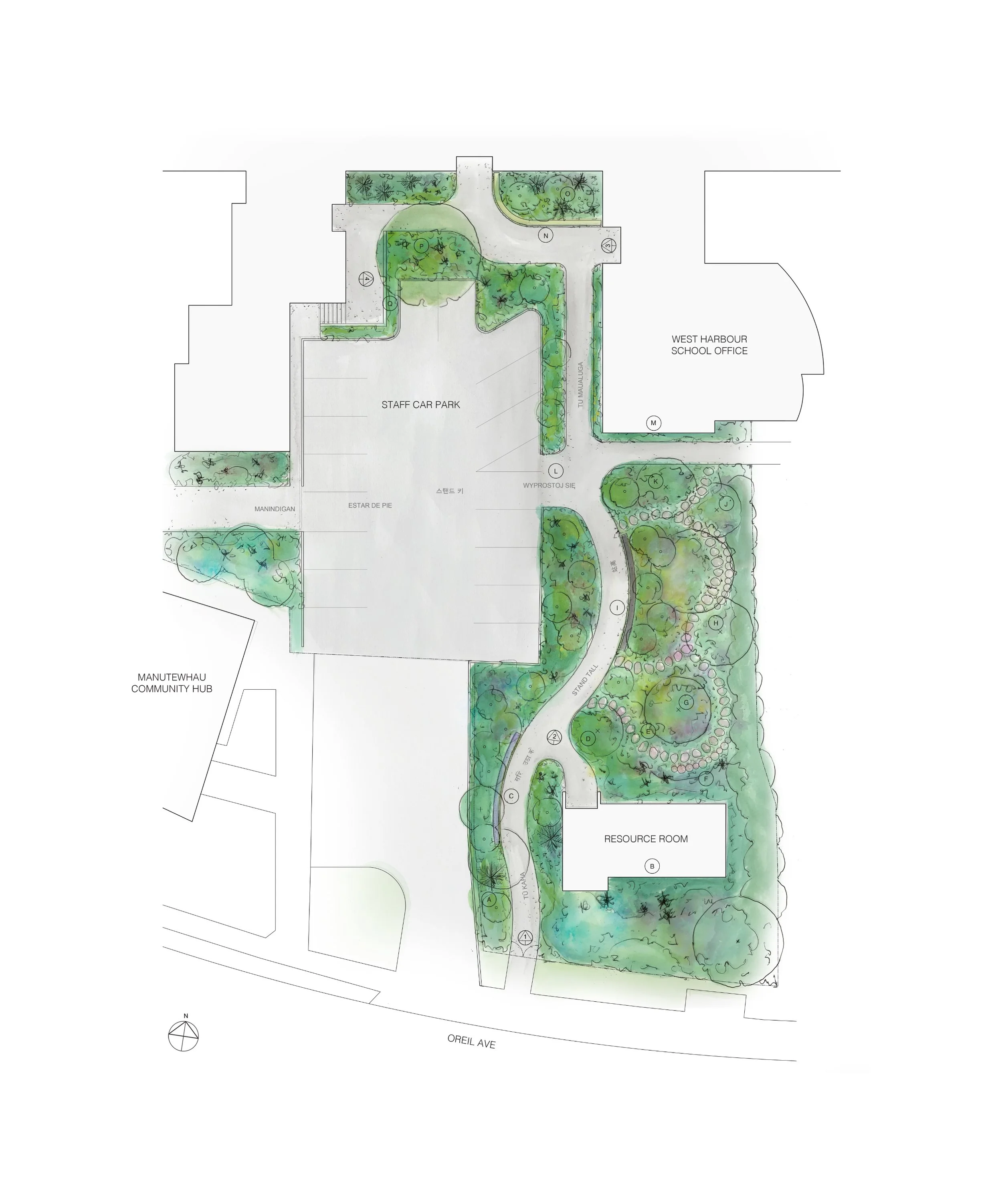 Regenerative native landscape concept design plan Auckland New Zealand