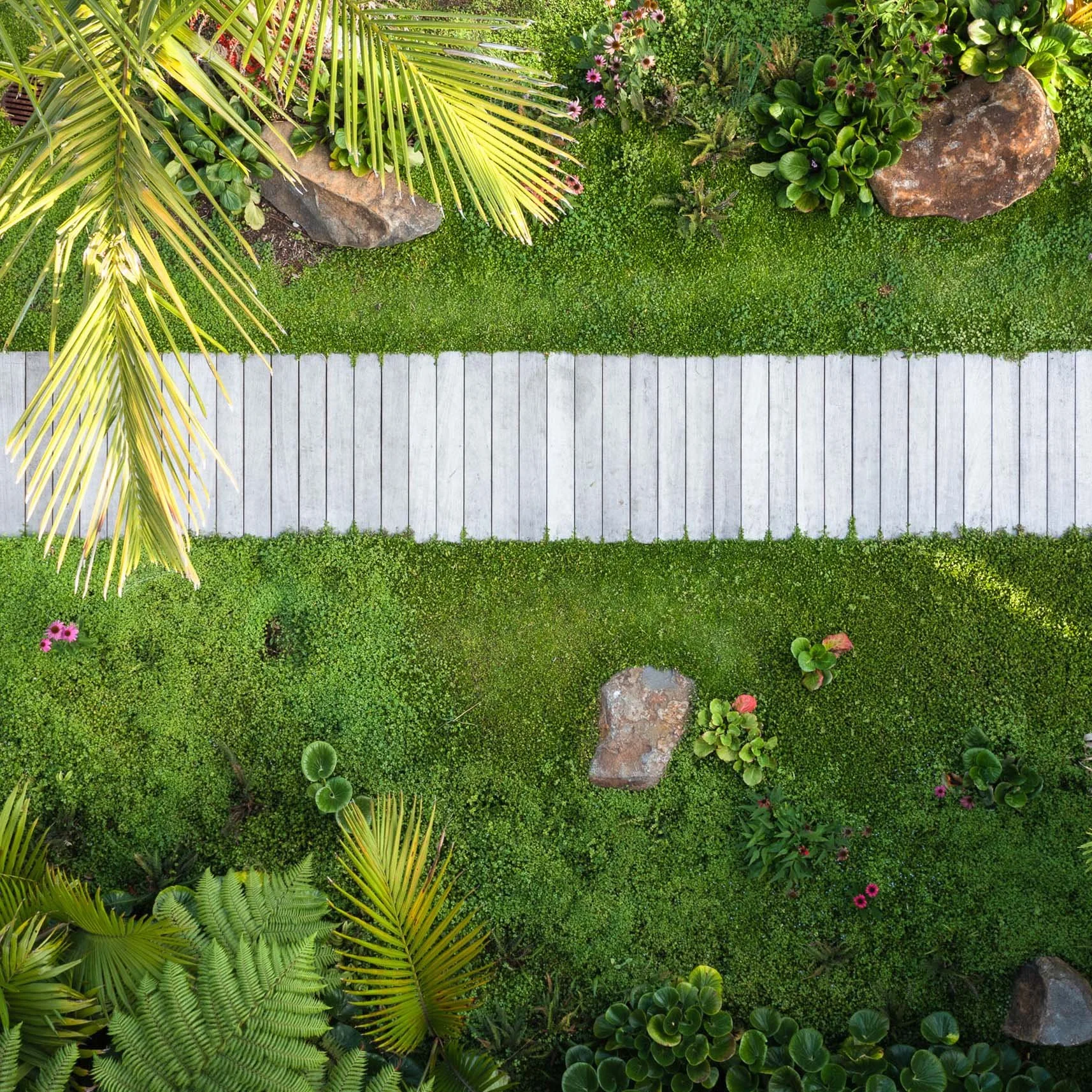 Neville Design Studio garden designer Auckland NZ