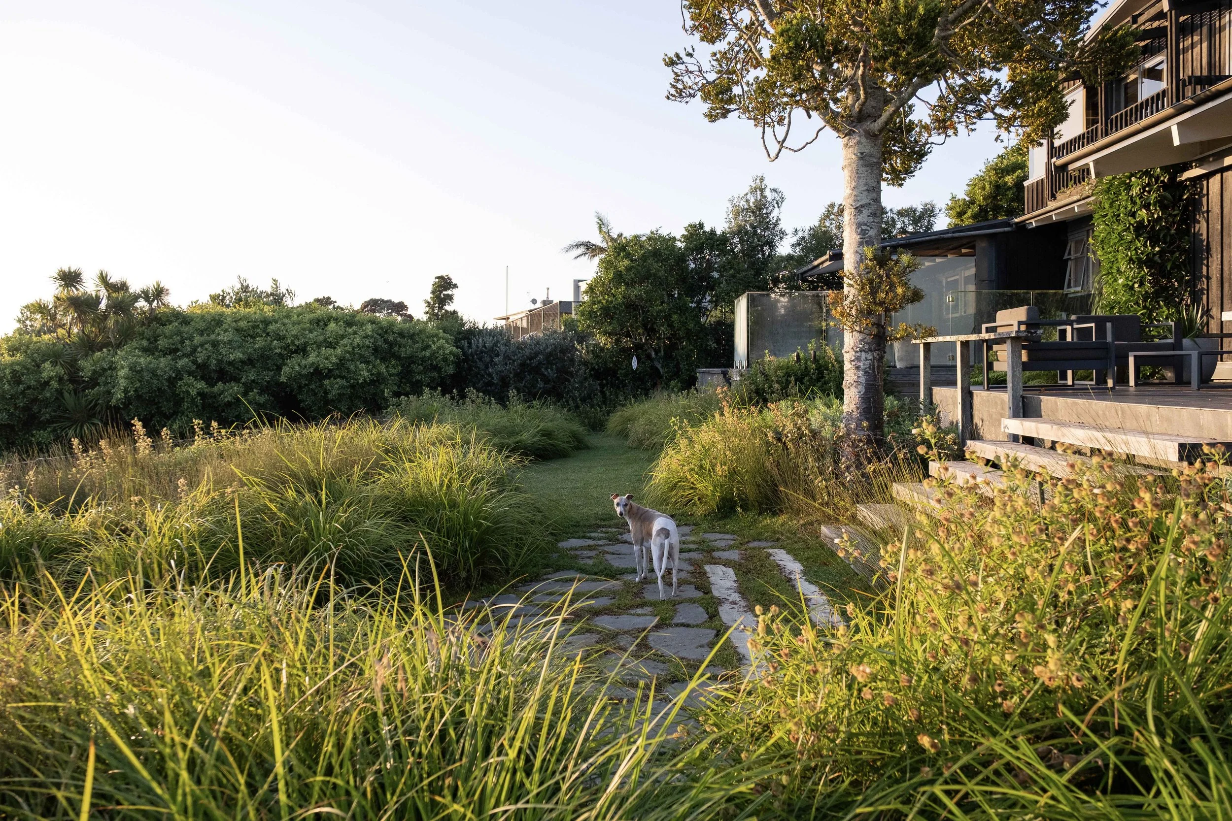 Coastal garden landscape designer Auckland New Zealand