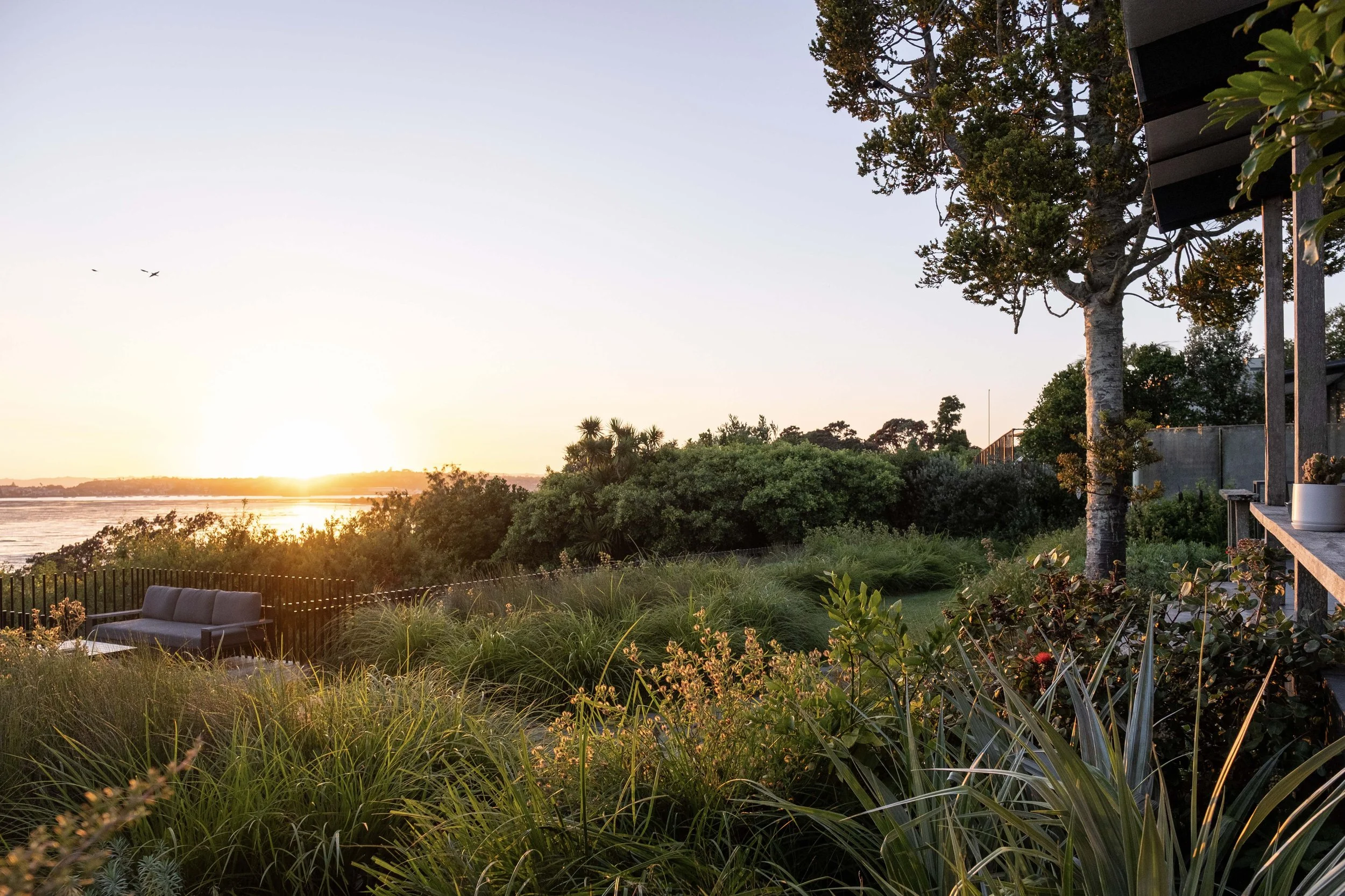 Regenerative landscape designer Auckland New Zealand