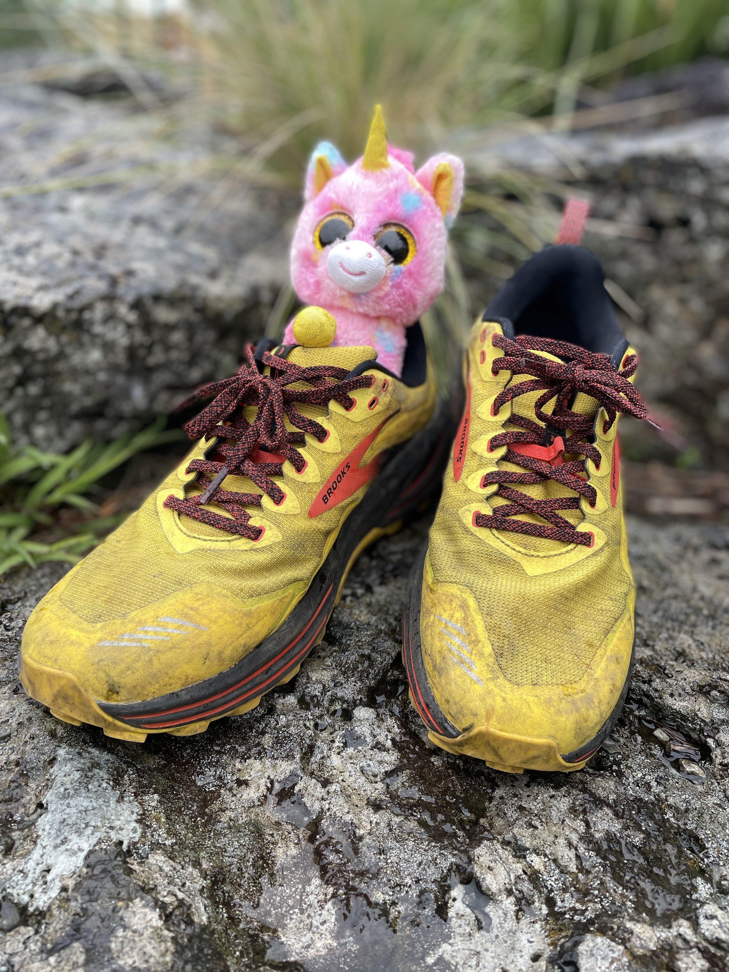 SHOE REVIEW: Brooks Cascadia 16 – unicorn of trail — AFTERGLOW