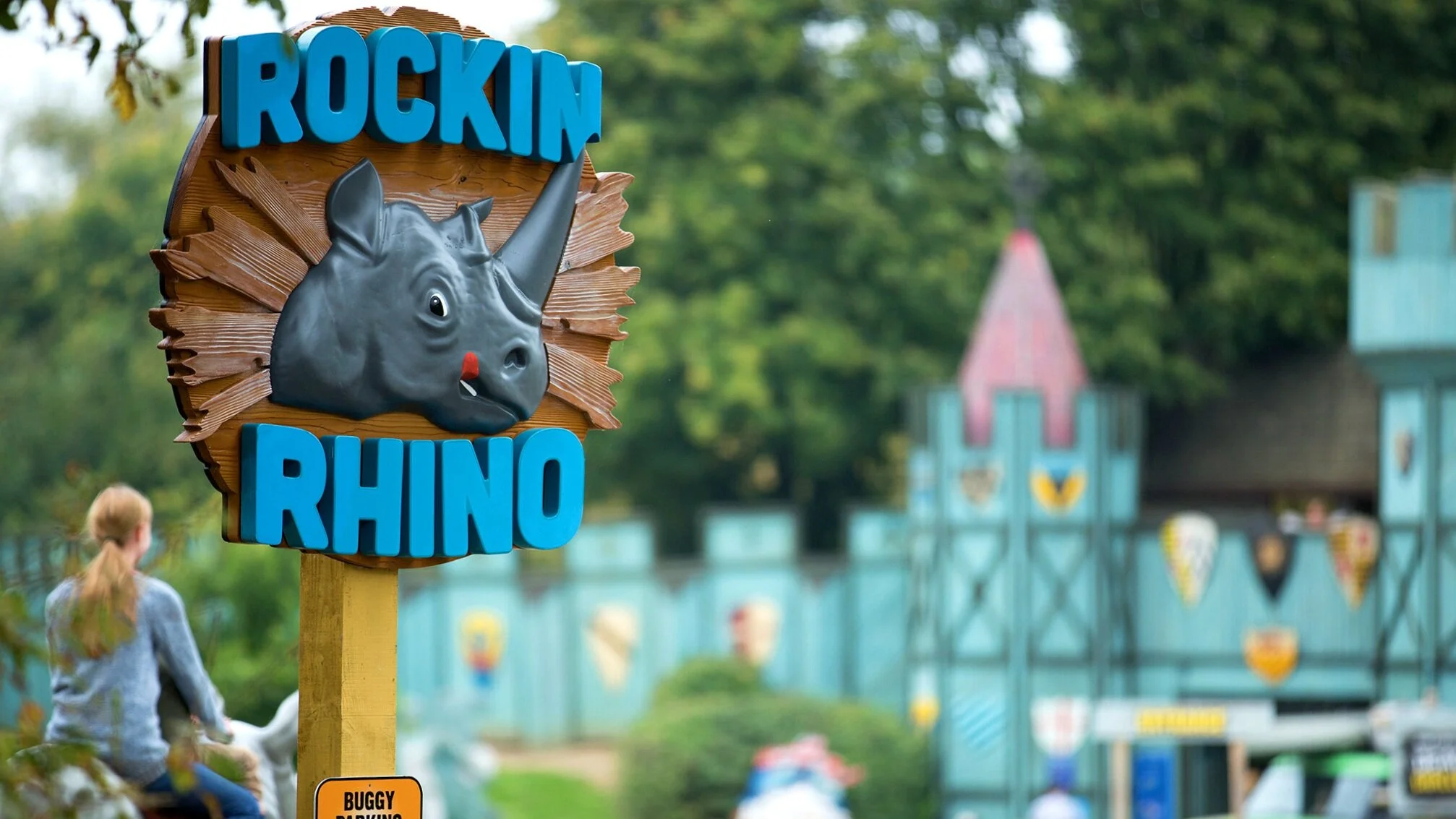 Rockin 1.jpg