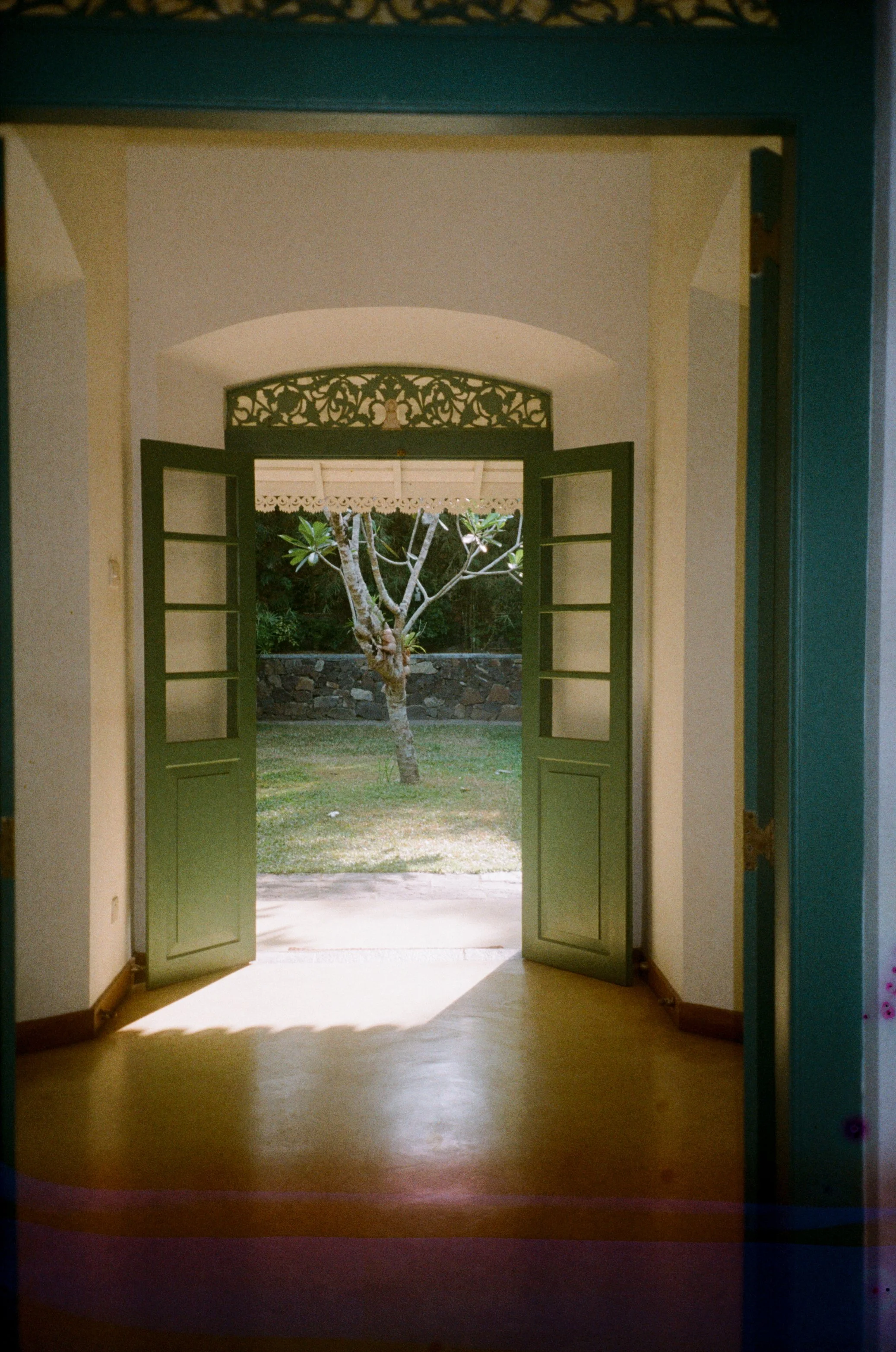 Pip 35mm-13.jpg
