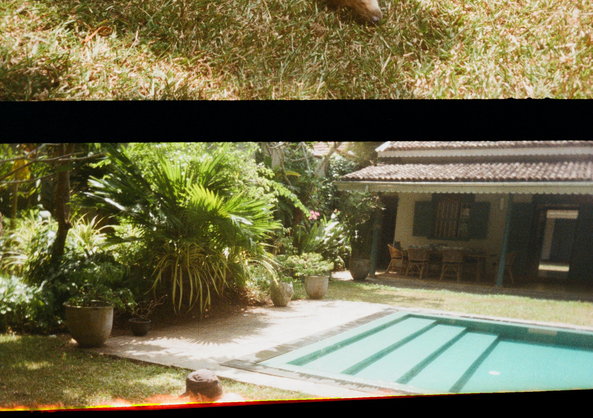 Pip 35mm-15.jpg