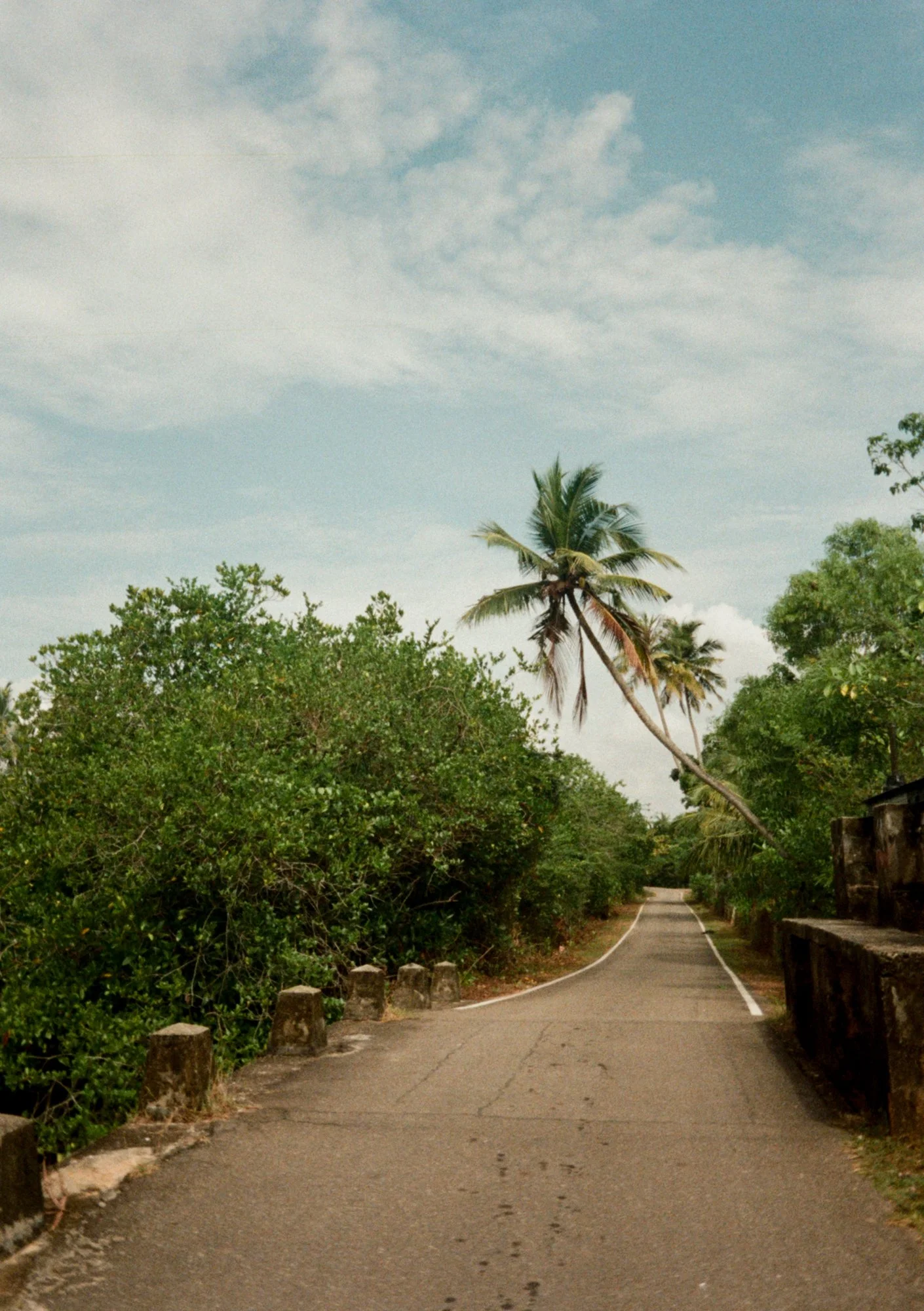 Pip 35mm-39.jpg