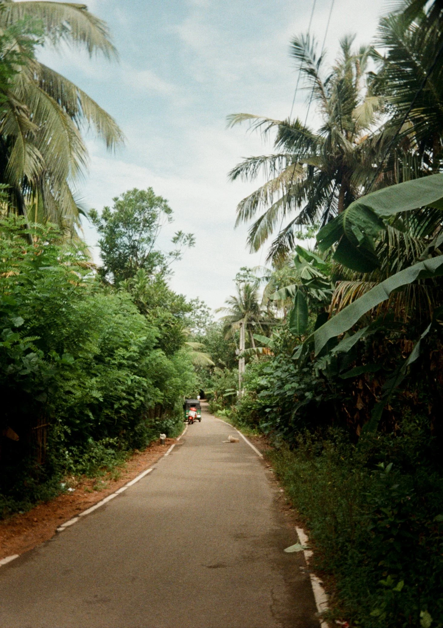 Pip 35mm-45.jpg