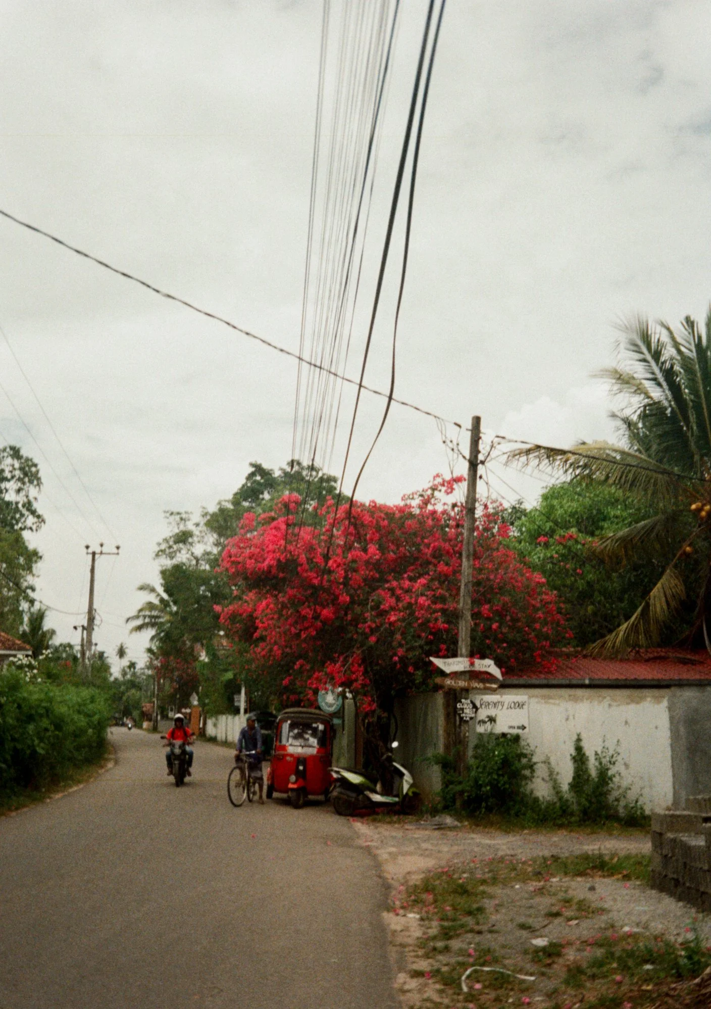Pip 35mm-47.jpg
