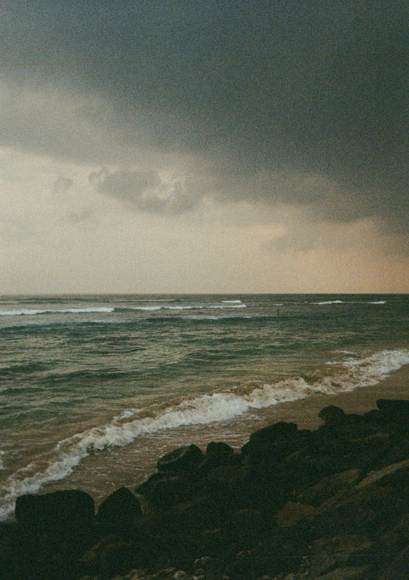 Pip 35mm-51.jpg