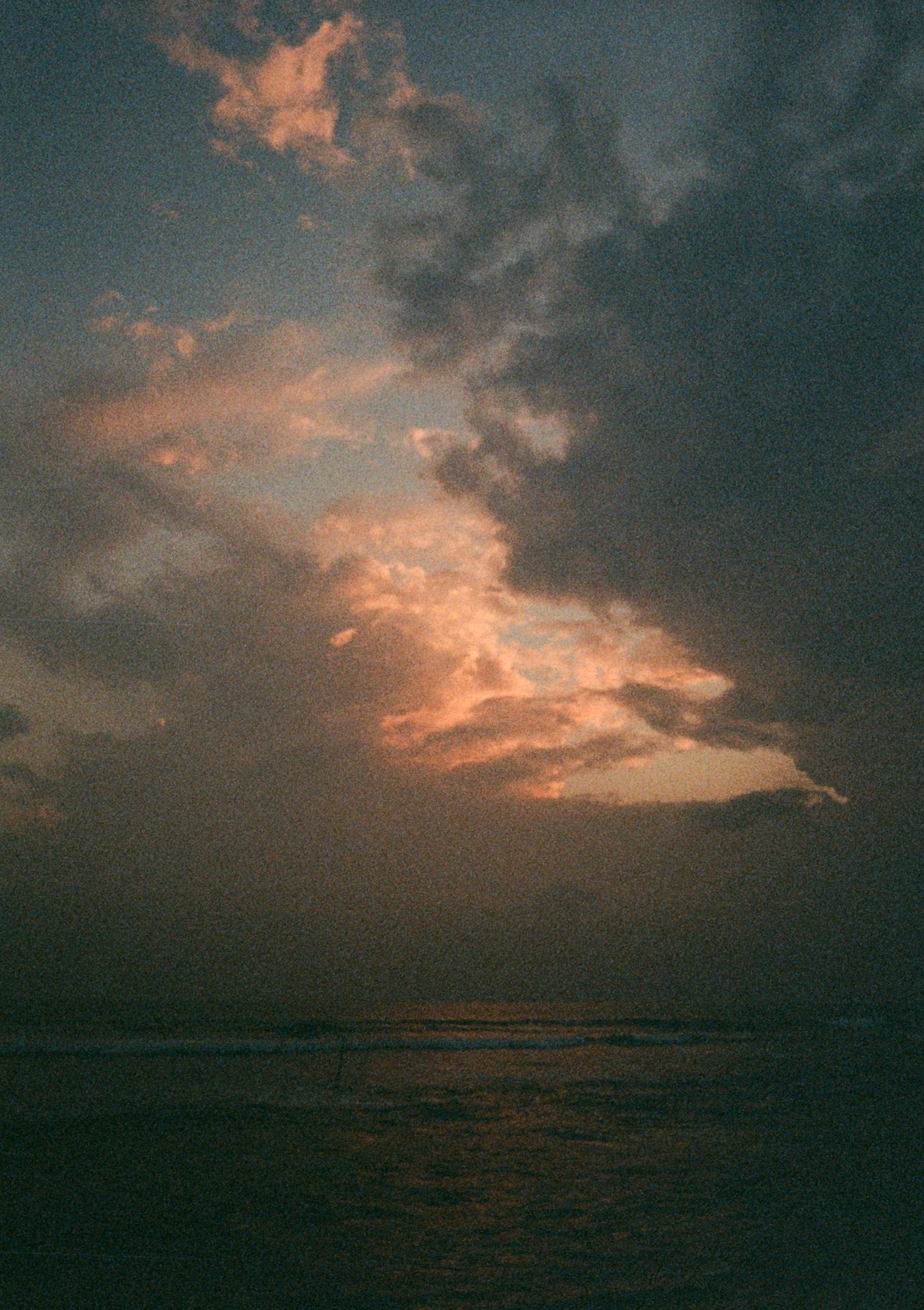 Pip 35mm-53.jpg