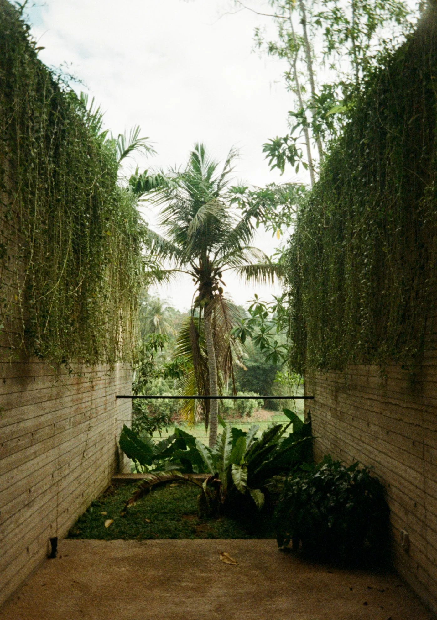 Pip 35mm-54.jpg