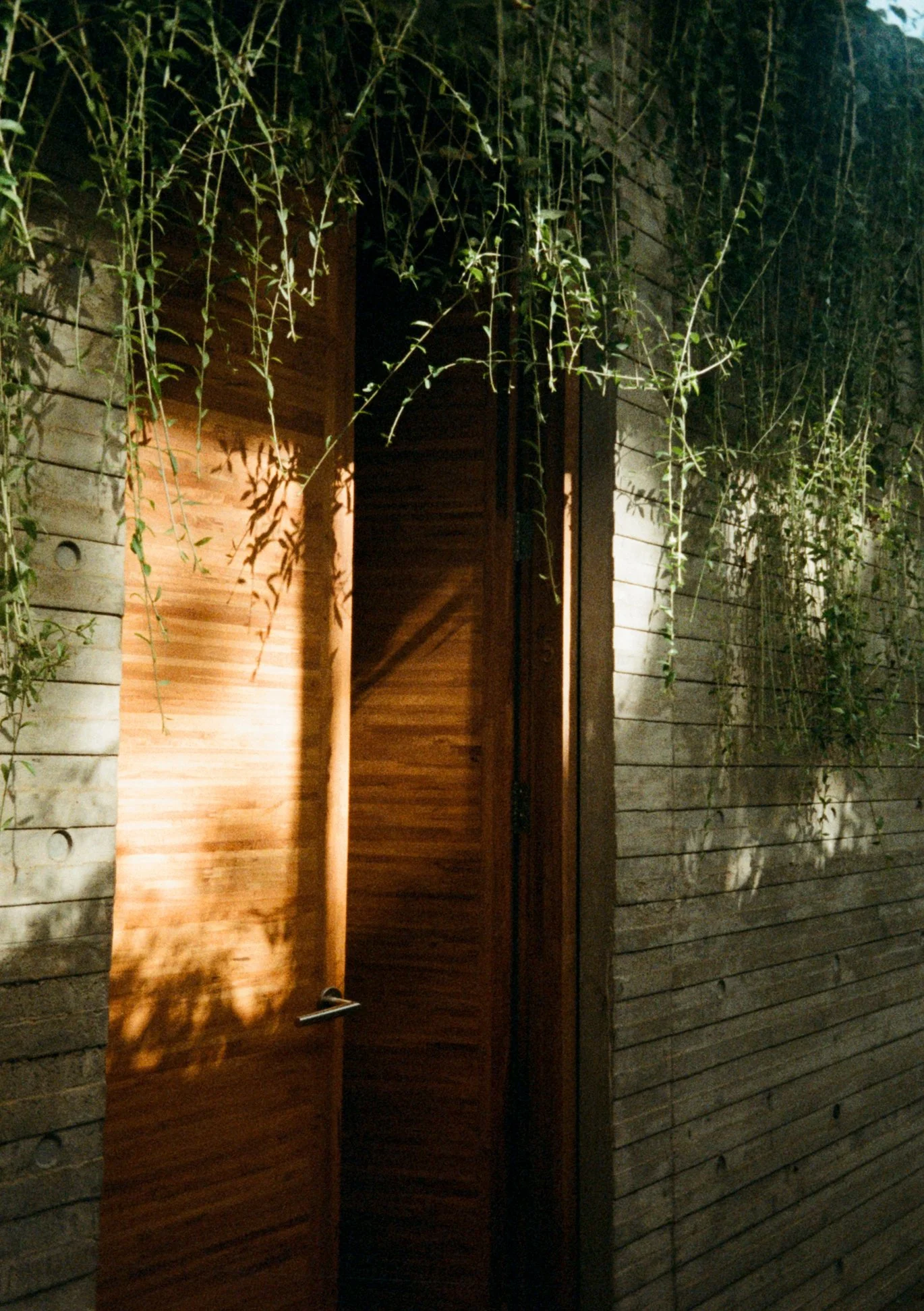 Pip 35mm-57.jpg