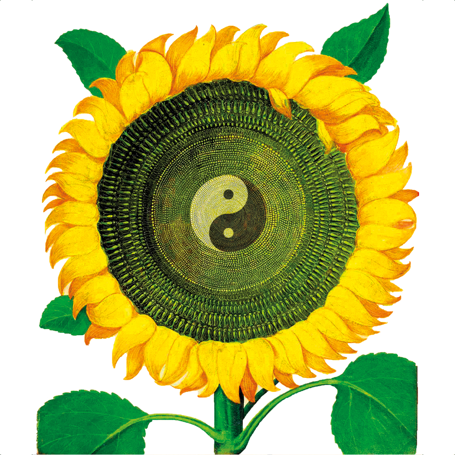 Rereats in meditation and chi kung after Mantak Chia in mindfulness