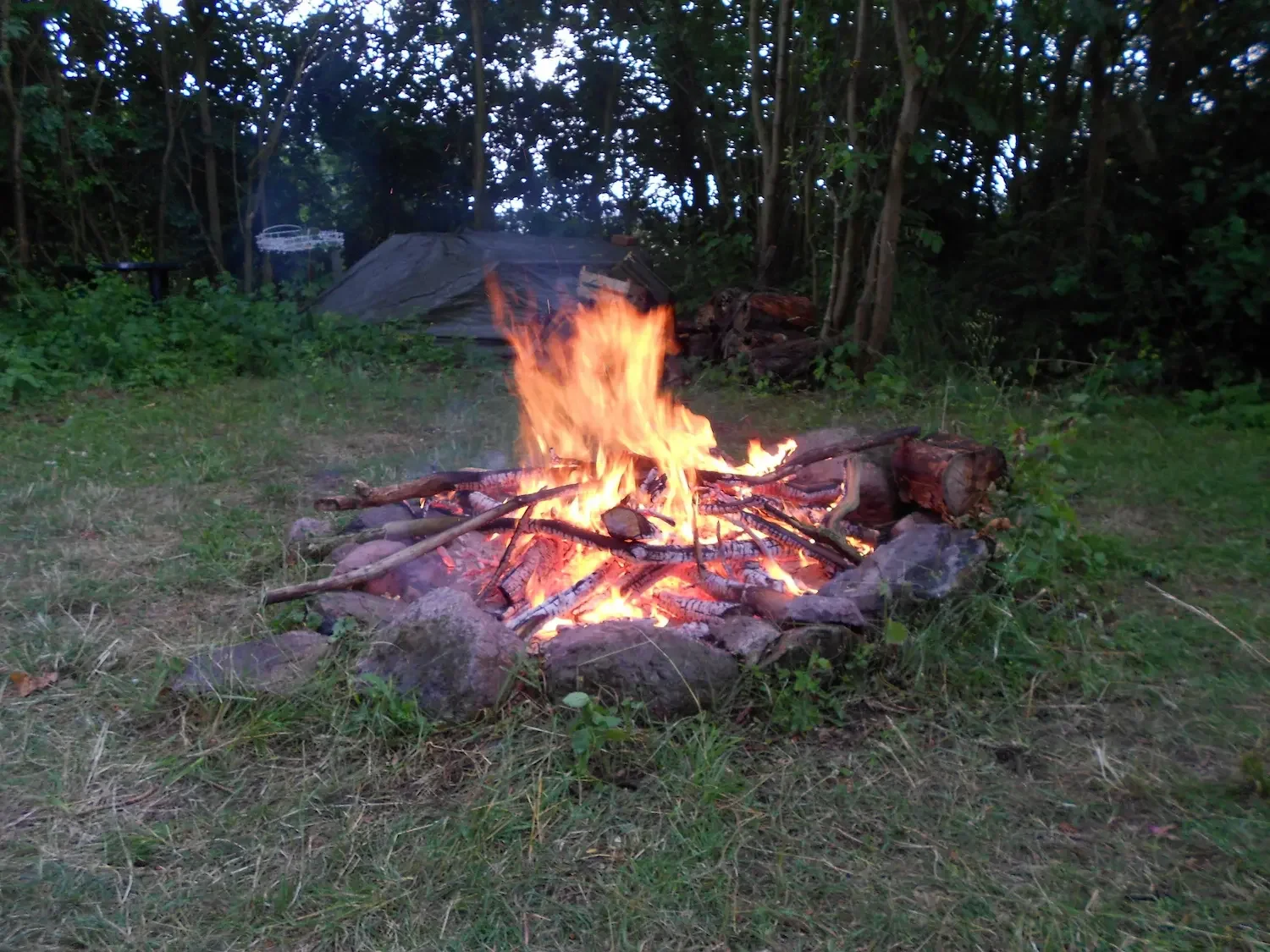 DSCN1751.JPG