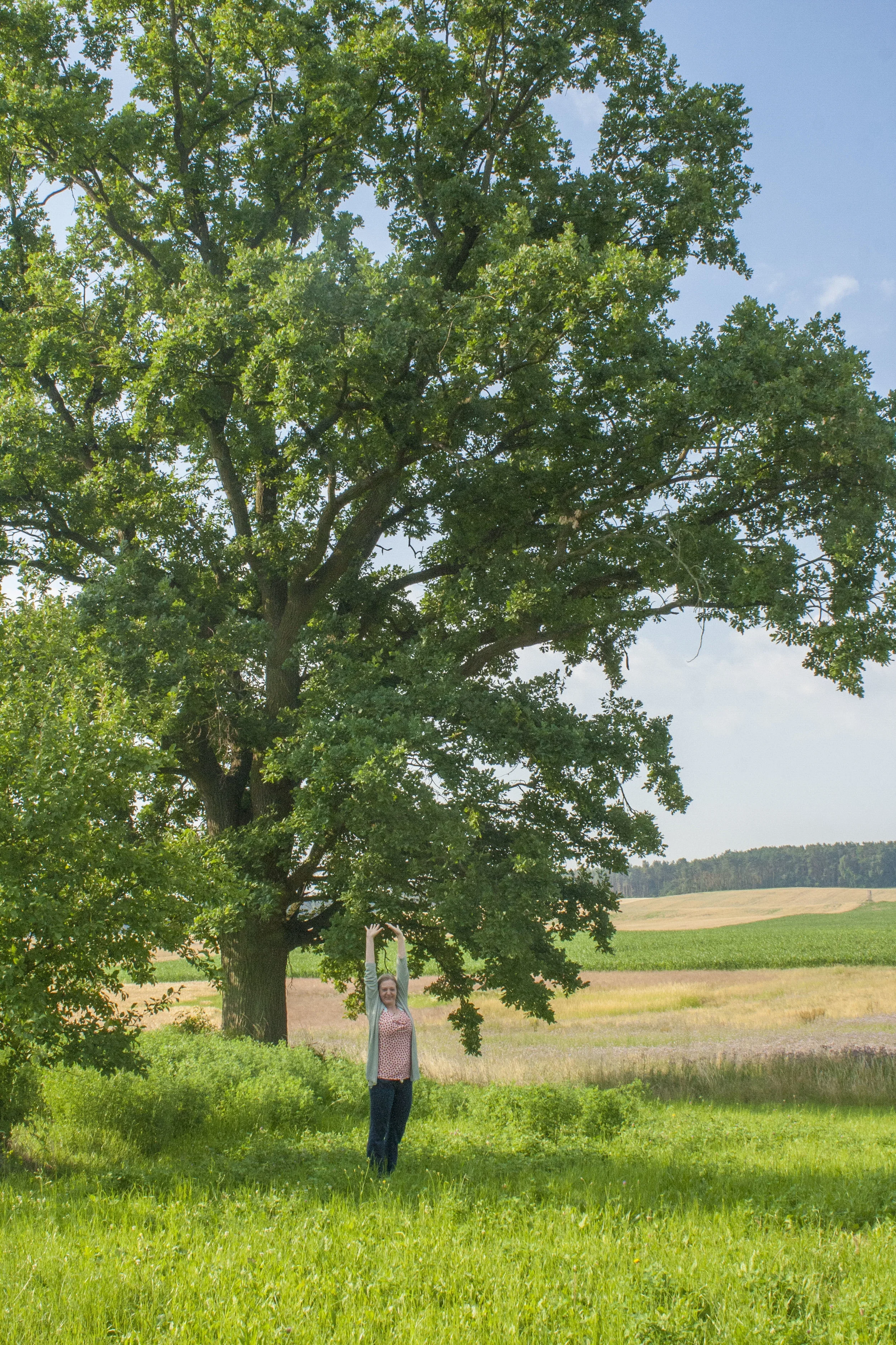Chi kung in nature during a Healing tao retreat
