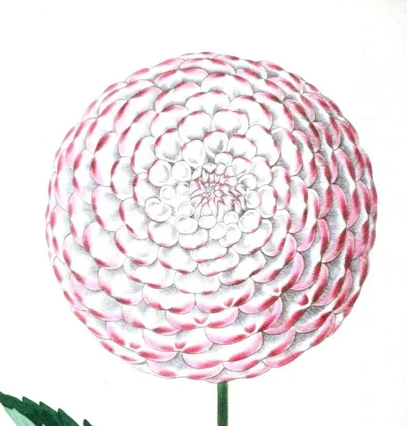 Heilende Liebe für Frauen taoistische Selbstheilung mit Achtsamkeit und Liebe