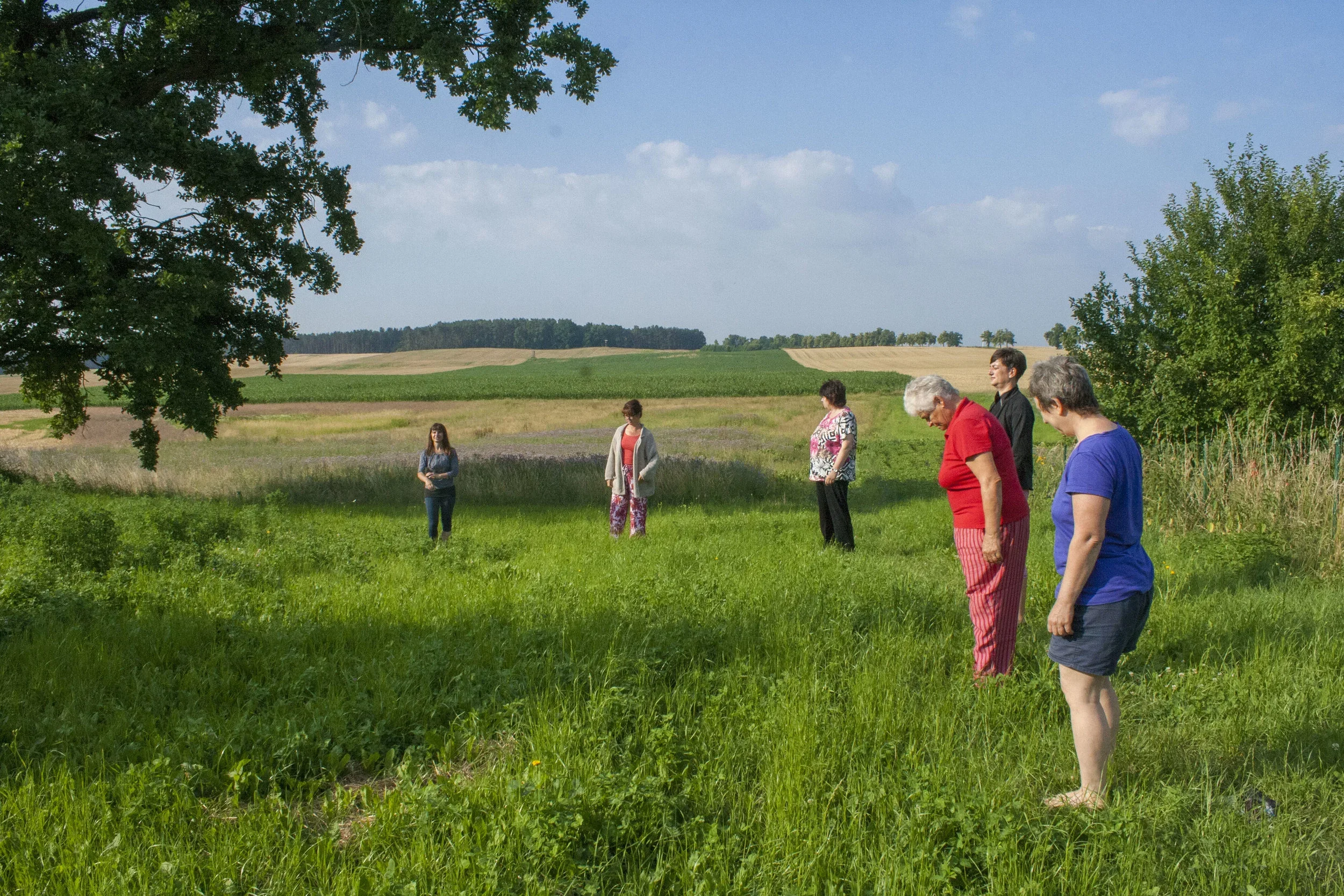 morning chi kung in nature at a healing tao retreat