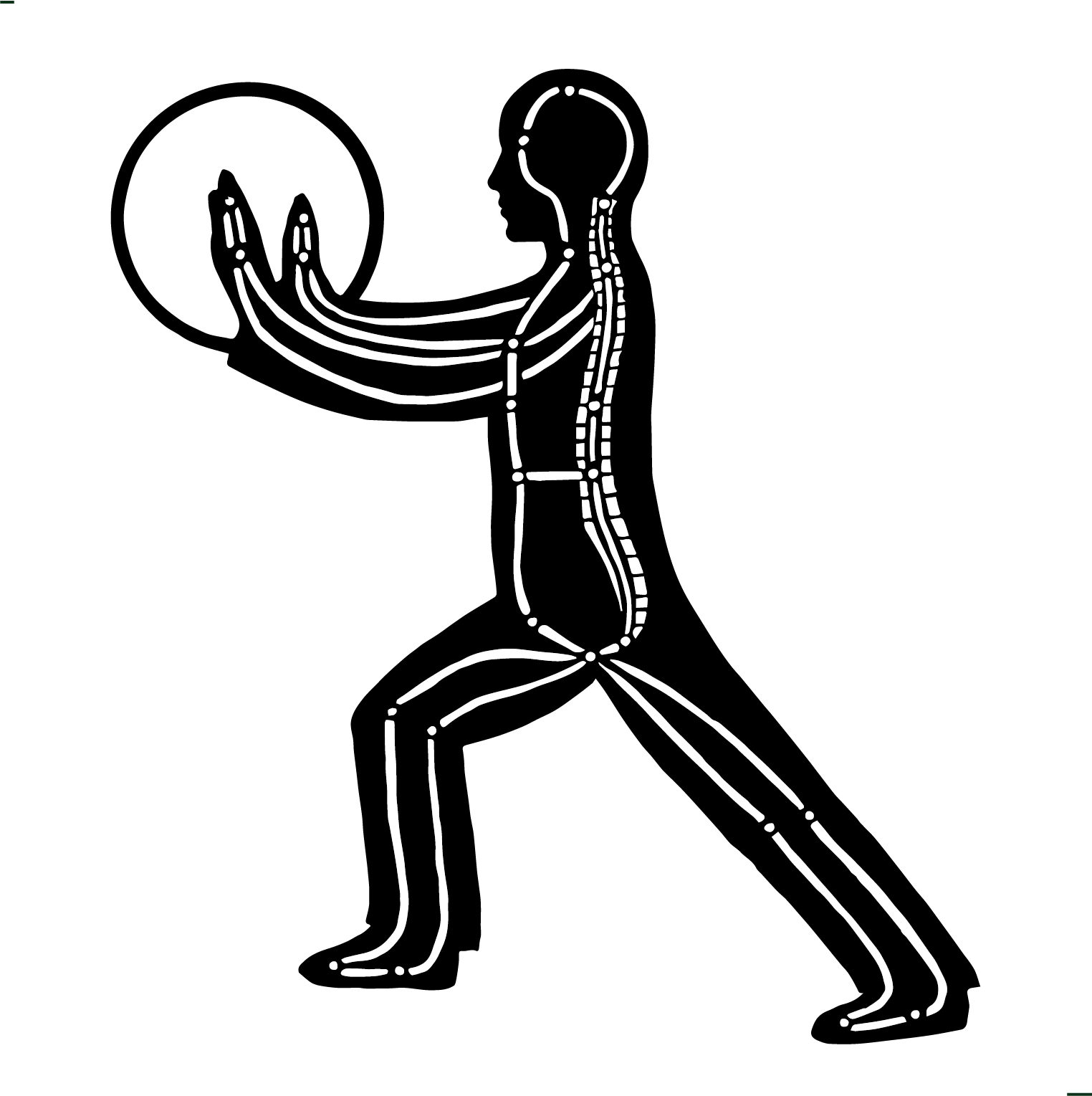 Instructor training in the Universal healing tao system after mantak Chia