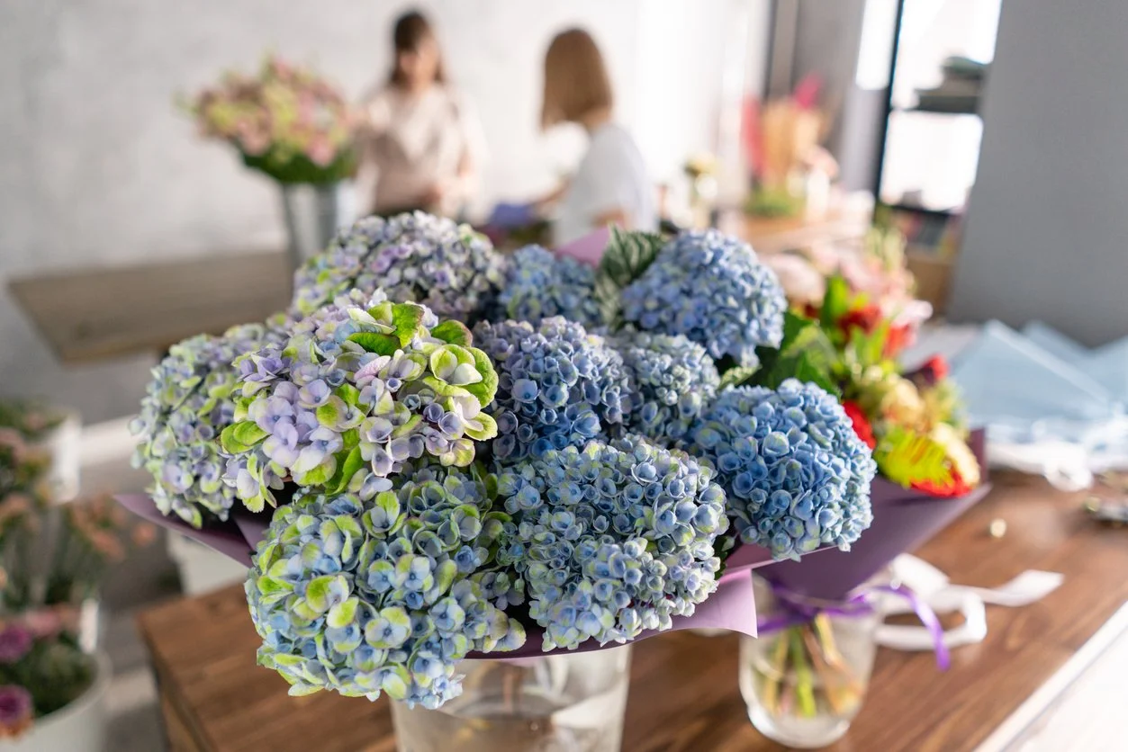 What is the difference between an impulse and an urge?