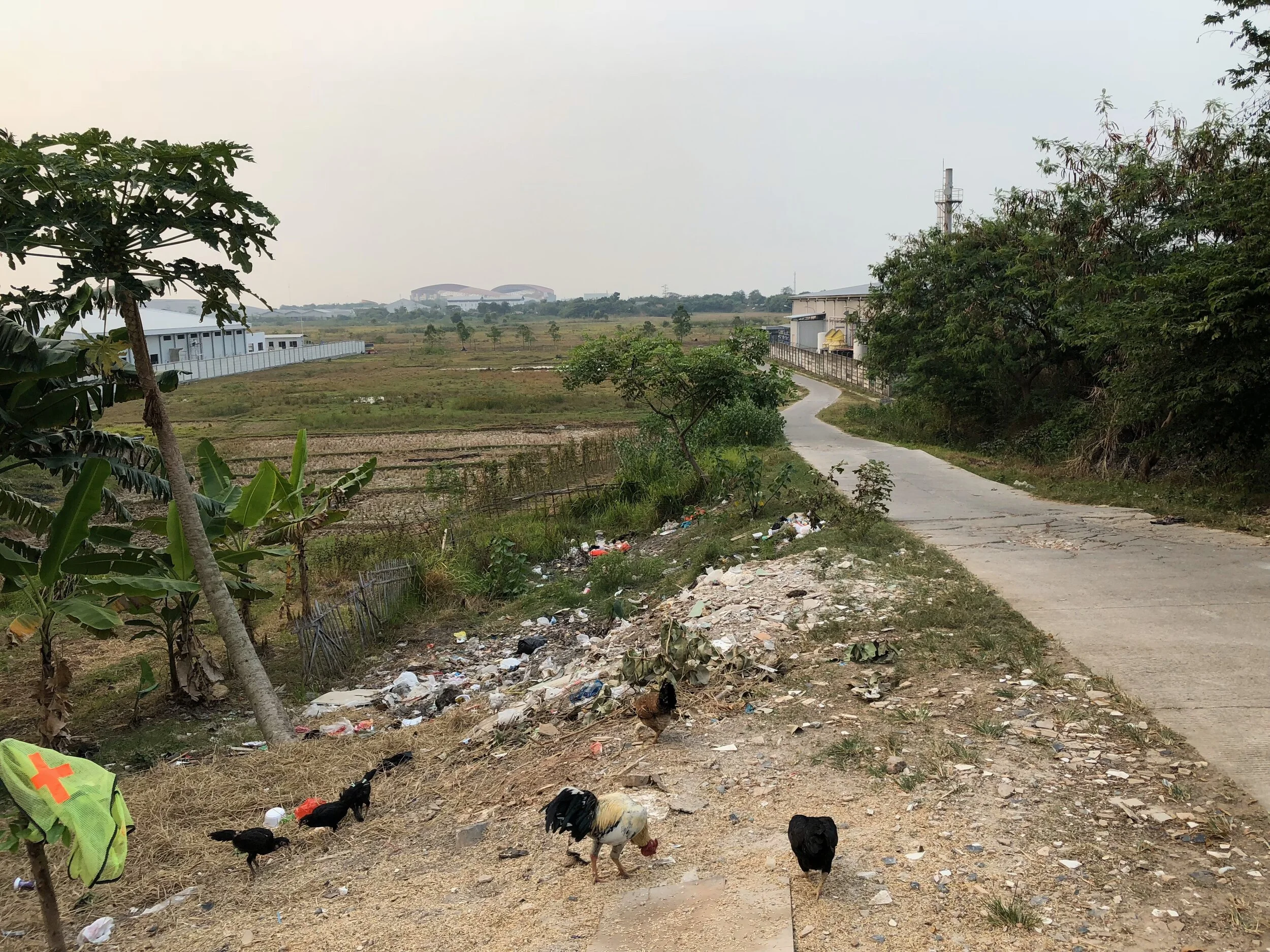 speculative urbanism