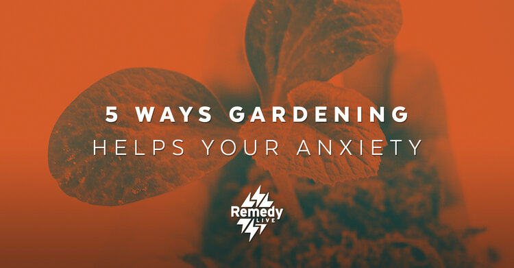 5 Ways Gardening helps your Anxiety