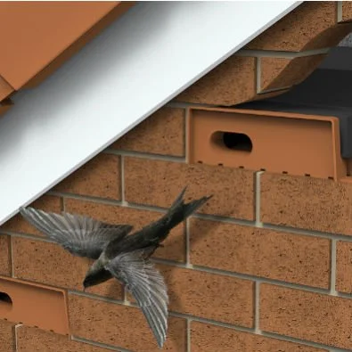 swift box.jpg