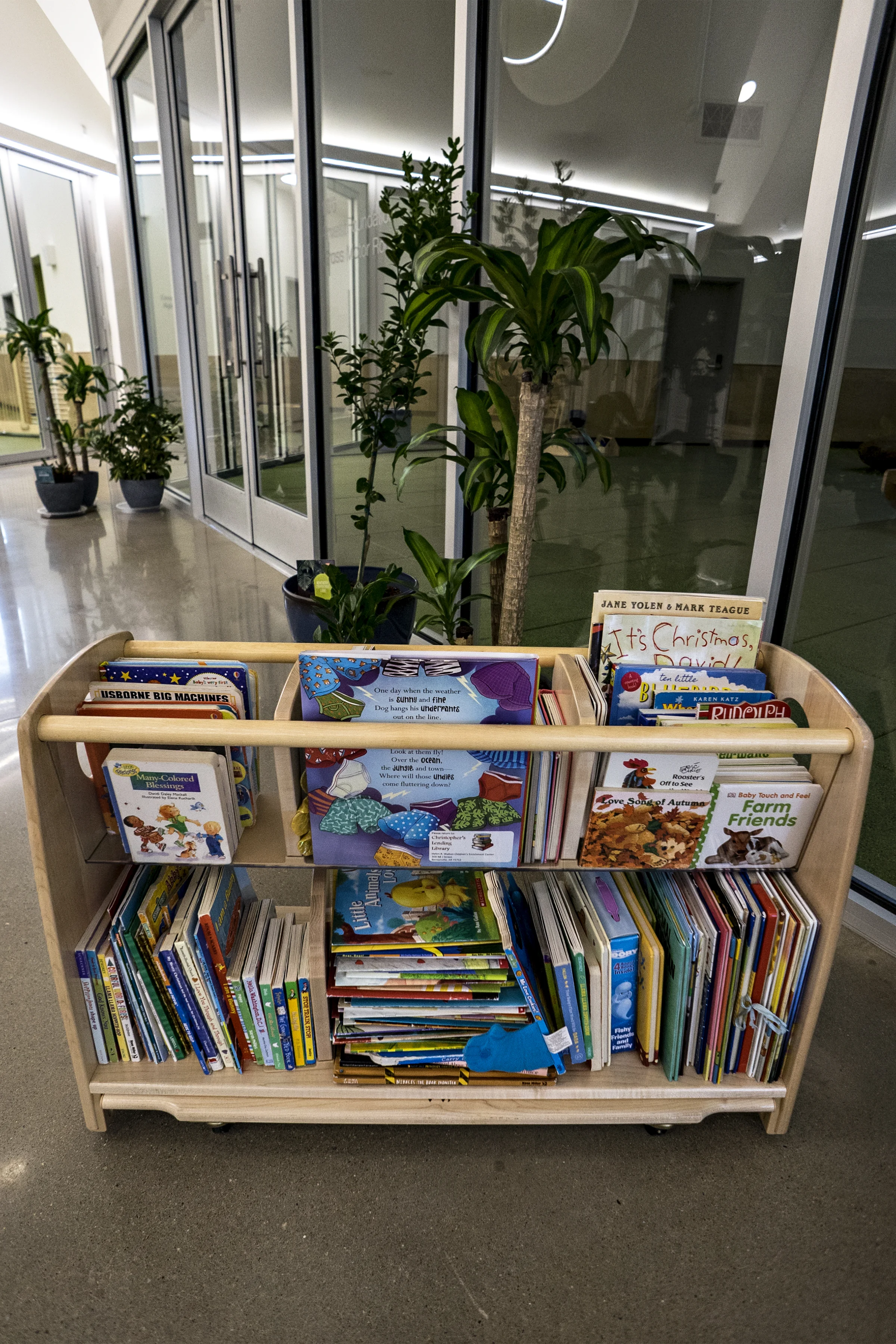 Christopher's Lending Library