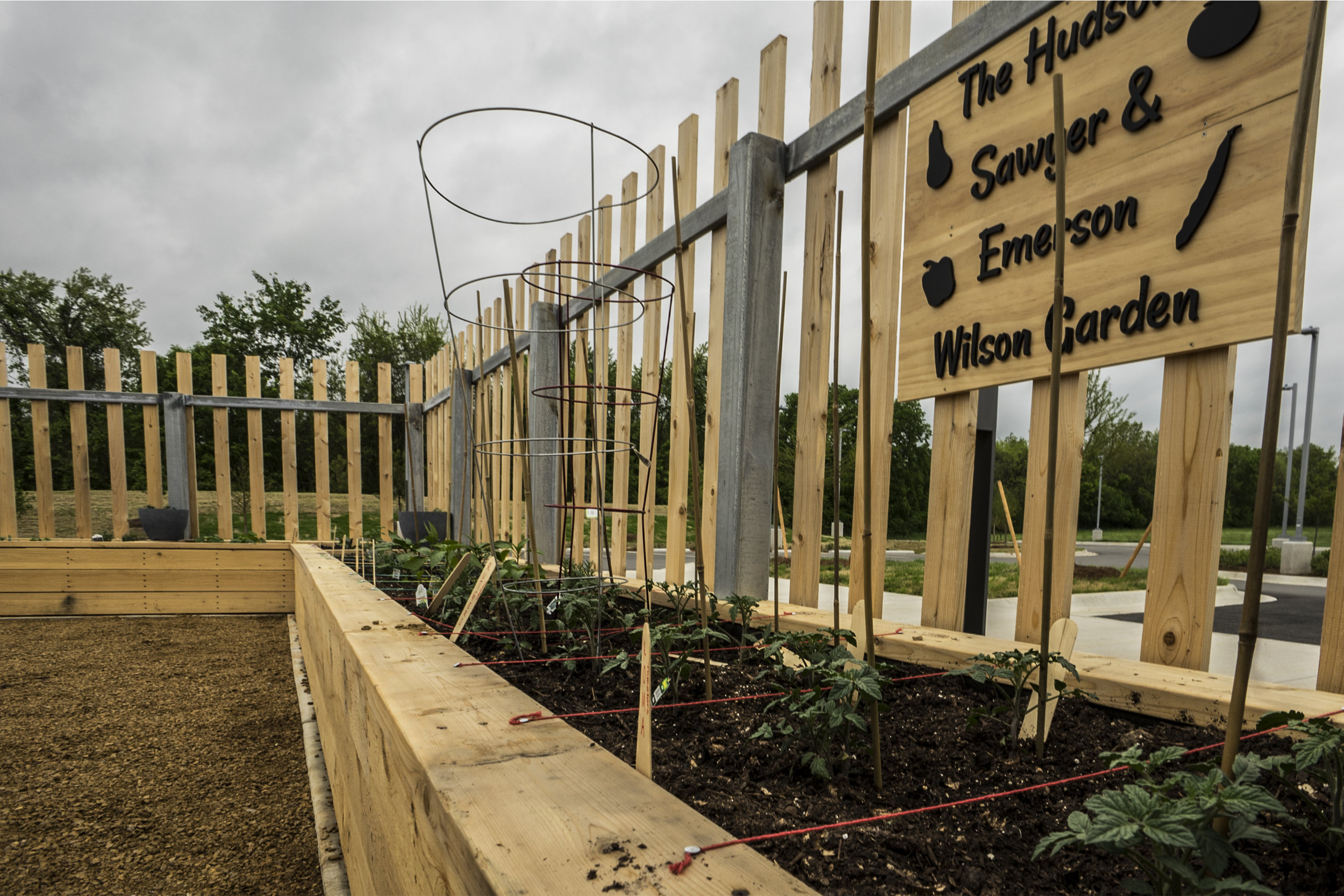 Vegetable Garden