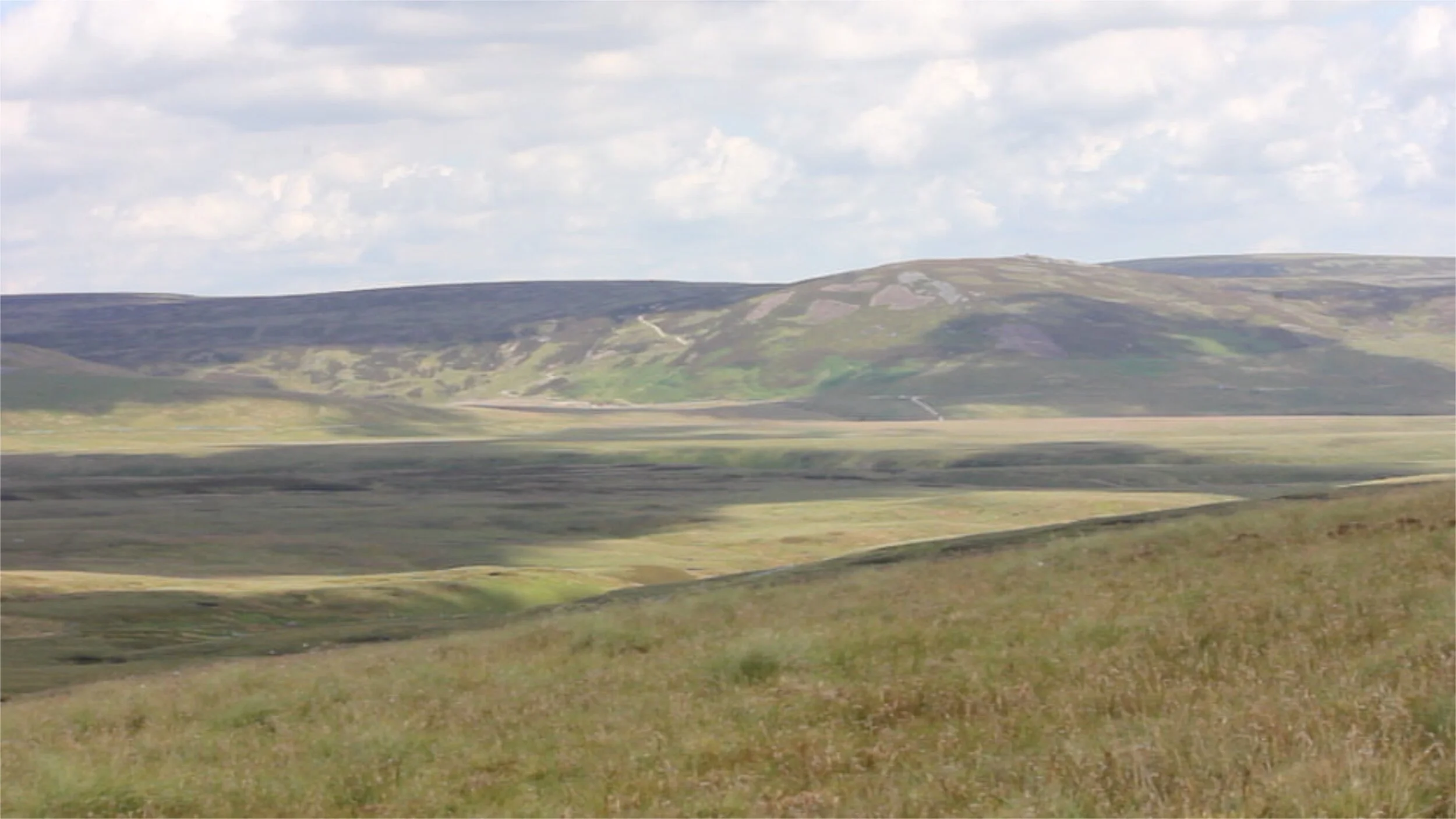 Protecting our Peatlands