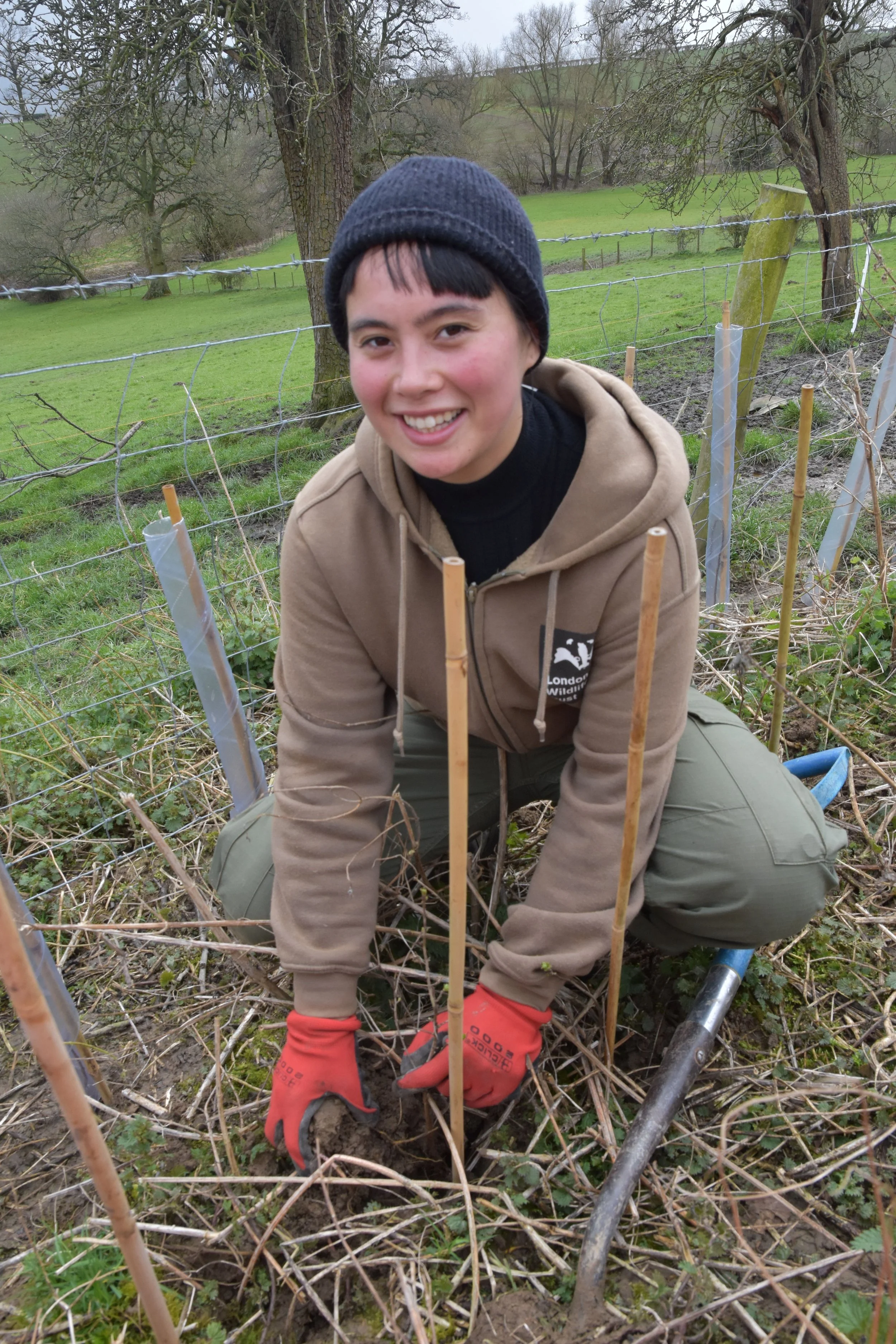 Plant trees with Possible