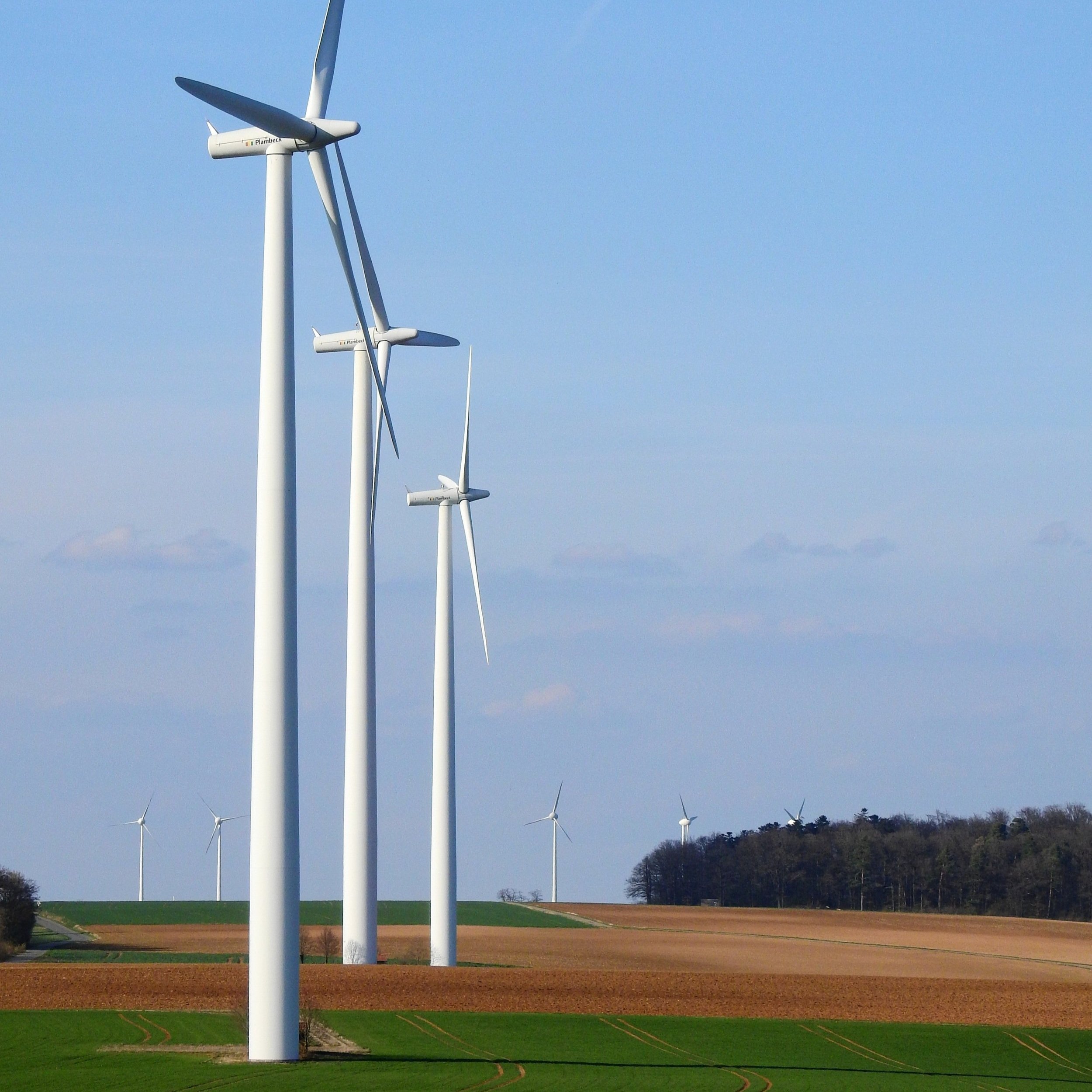 Charities urge government to unblock onshore wind in England