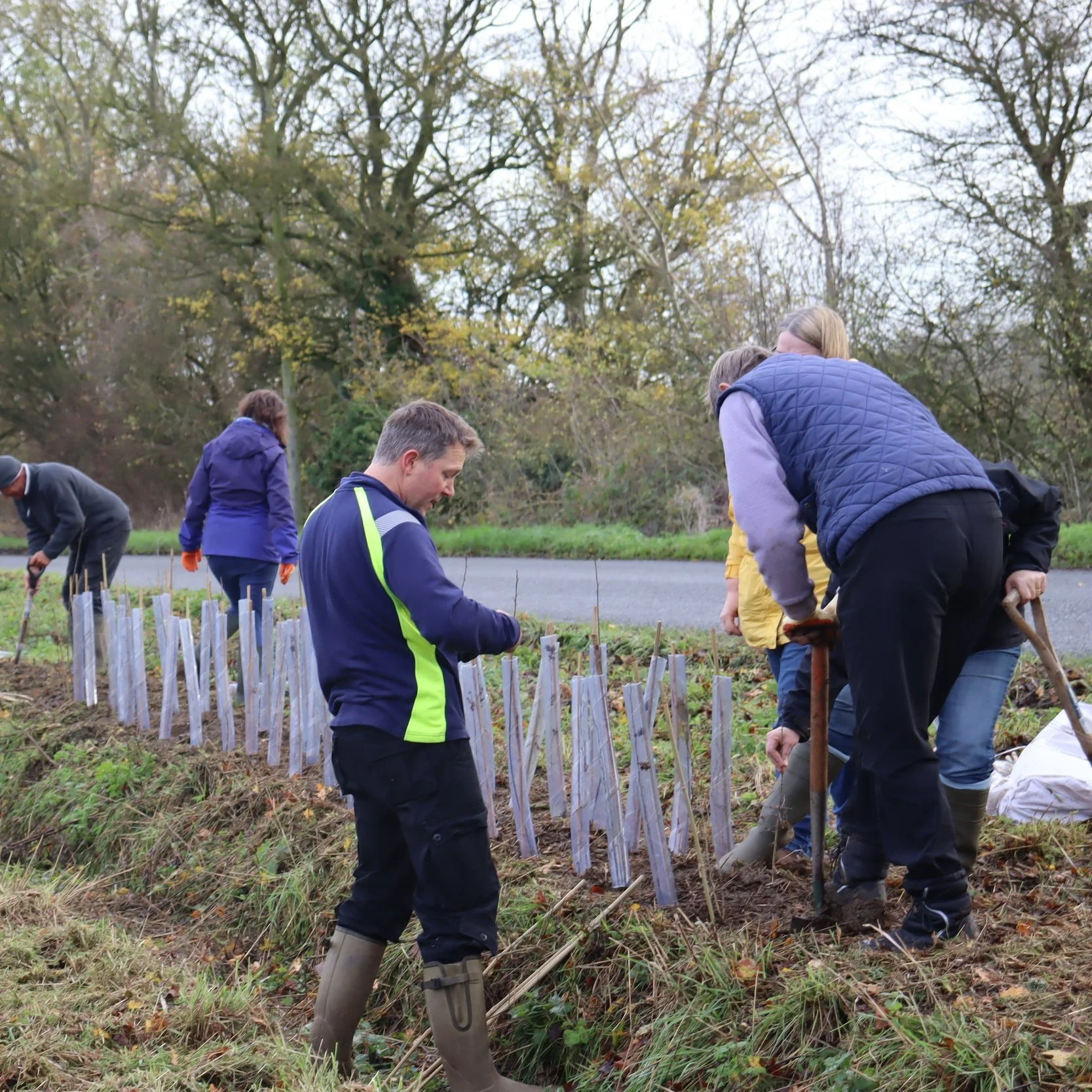 Local residents and climate charity plant 3780 trees in one weekend
