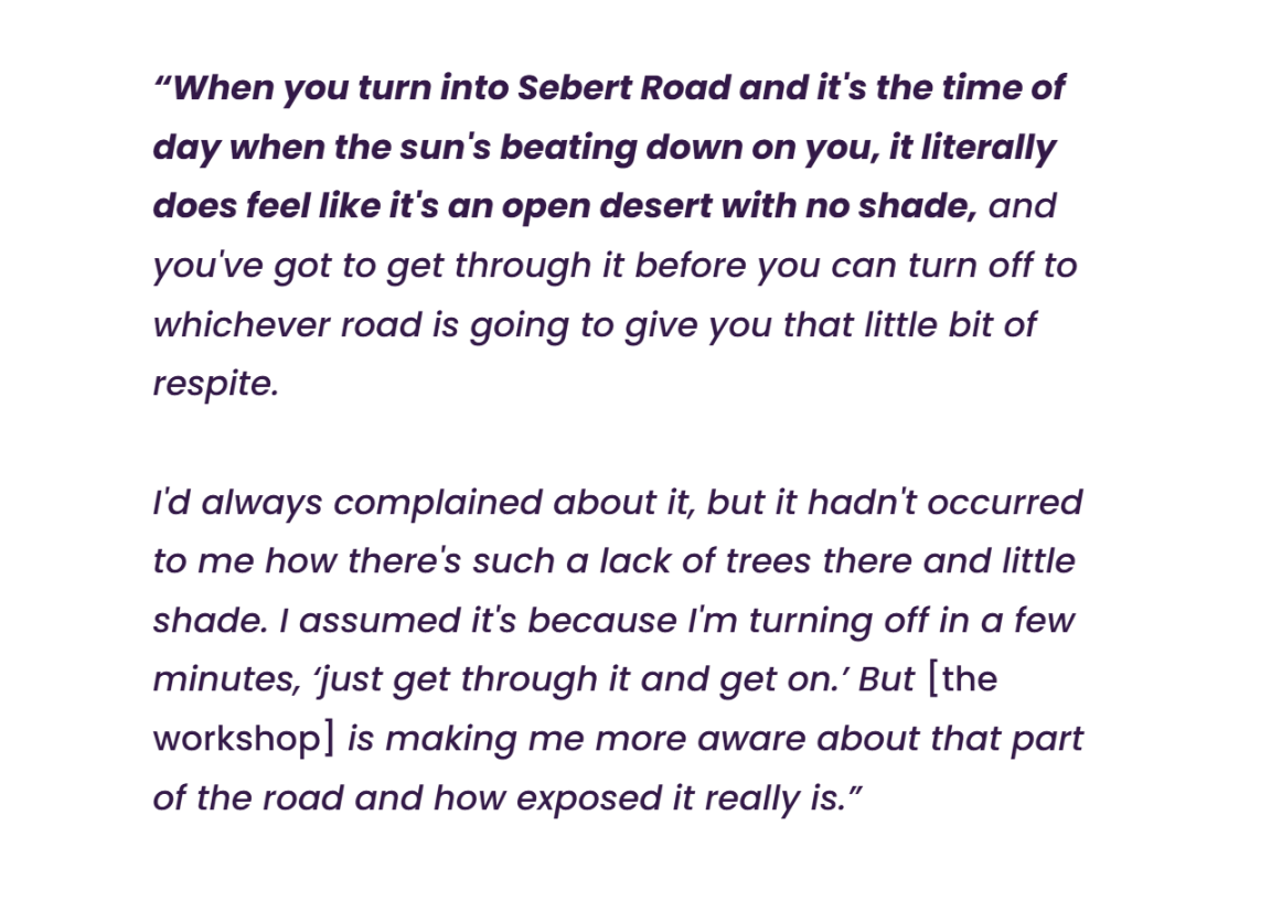 Quote from workshop participant