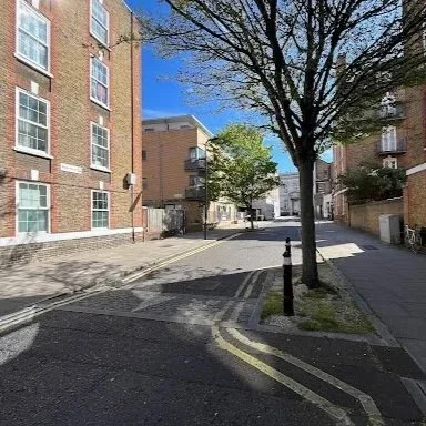 Trees in kerb buildouts in Hackney. Photo: Louise Rondel, April 2026.