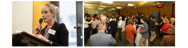 Photos from aviation event in parliament