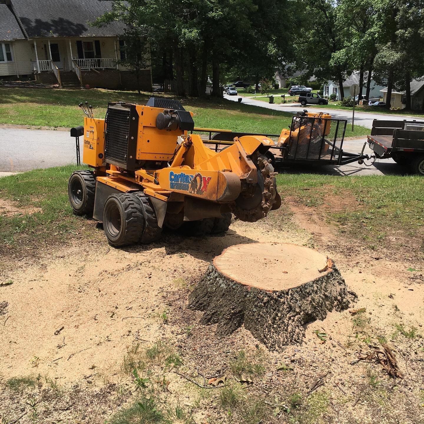 Once a stump, now a pile of mulch! That&rsquo;s what we do.