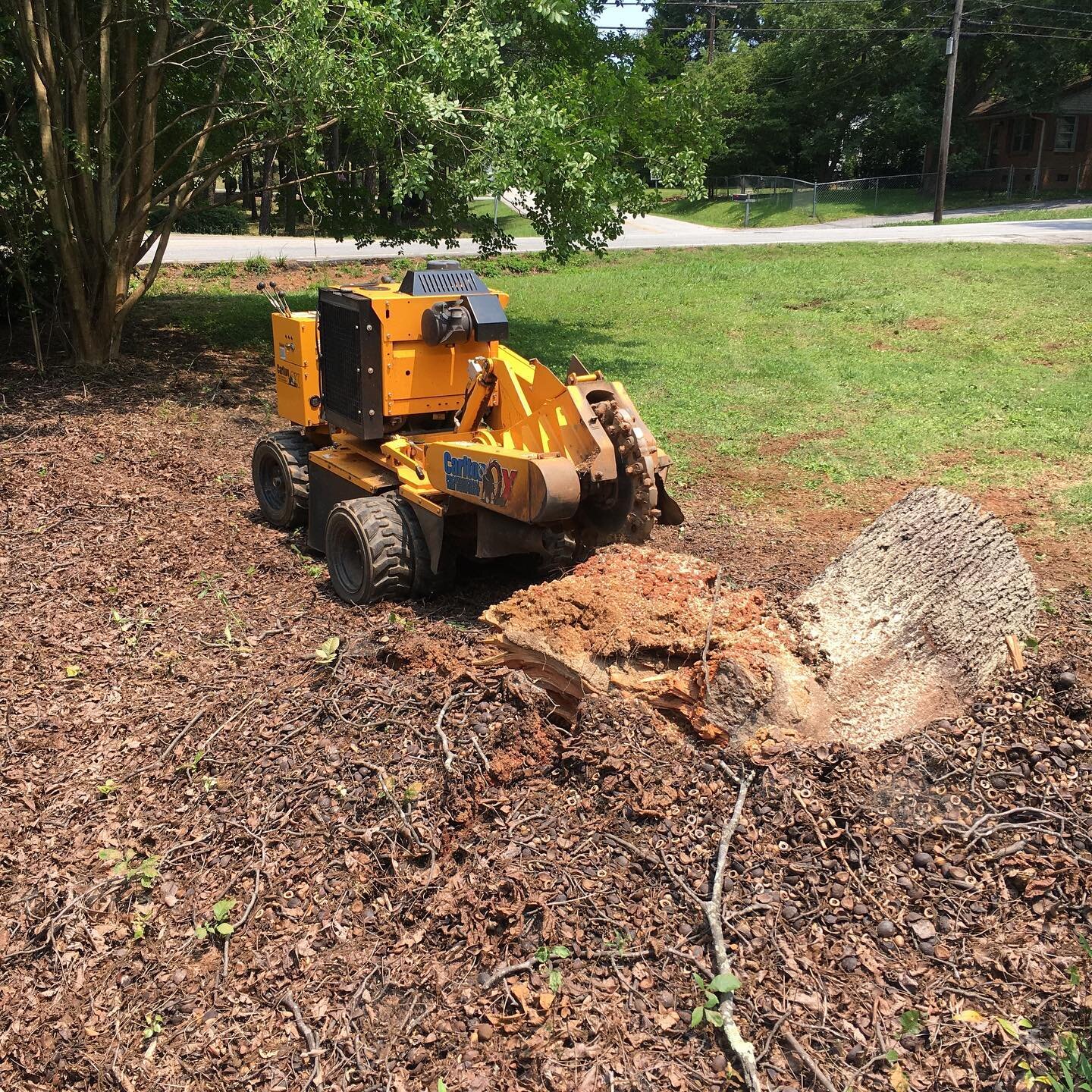 Last Thursday&rsquo;s storm brought some trees down in the Taylors area. We&rsquo;re always glad to help clean up the mess!