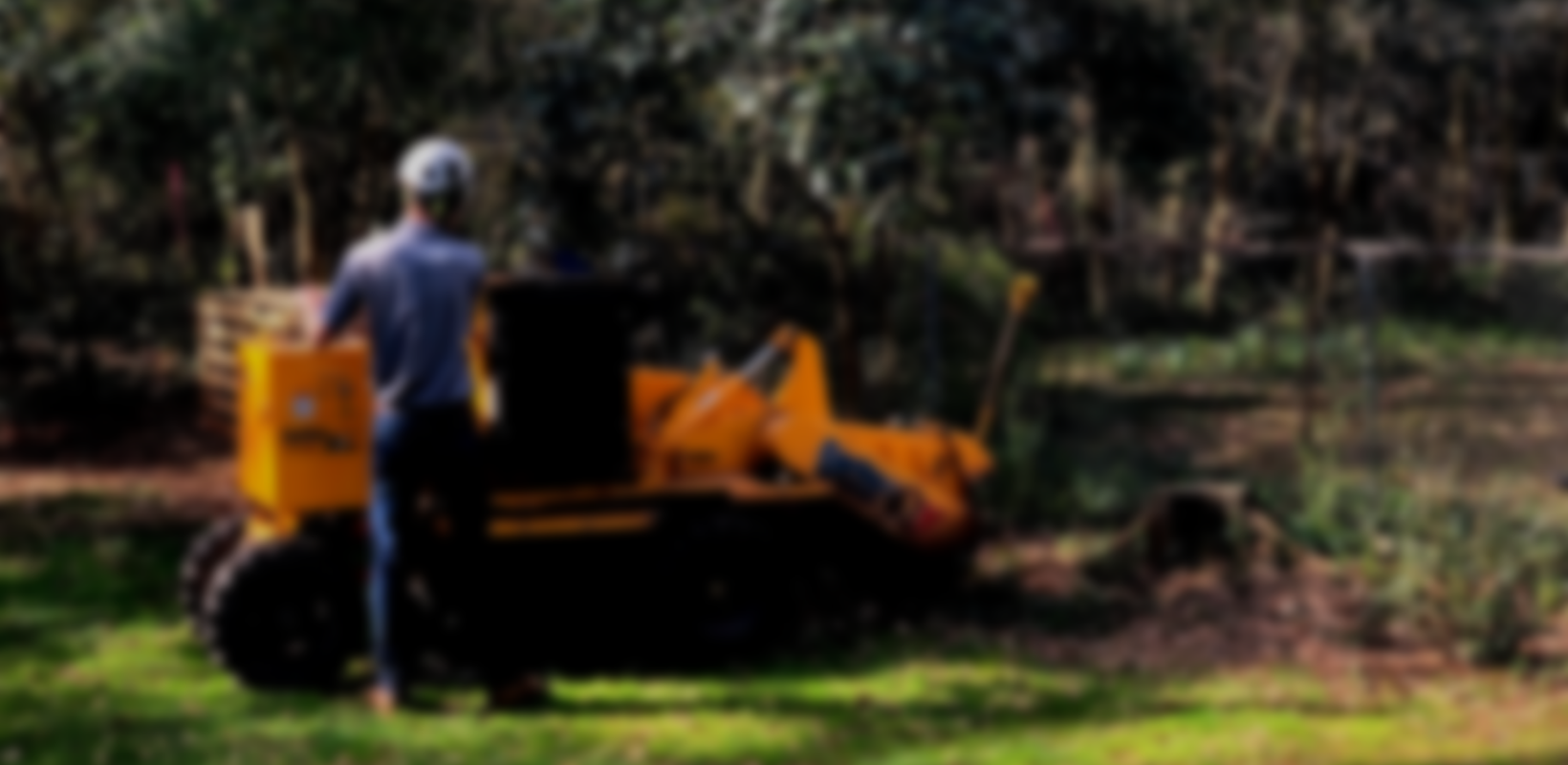 Copy of Untitled-4.png